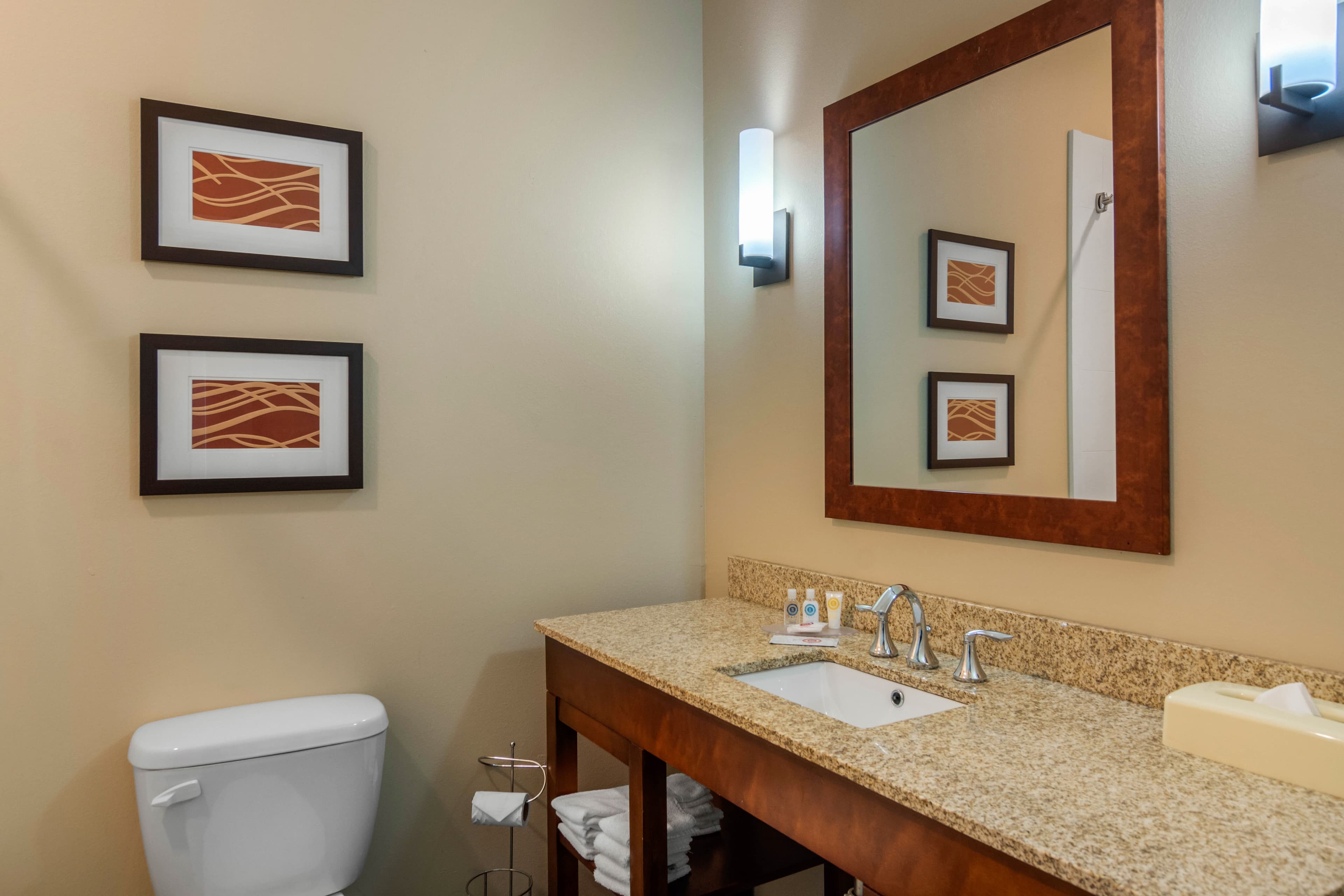 Comfort Inn South Chesterfield - Colonial Heights — 21