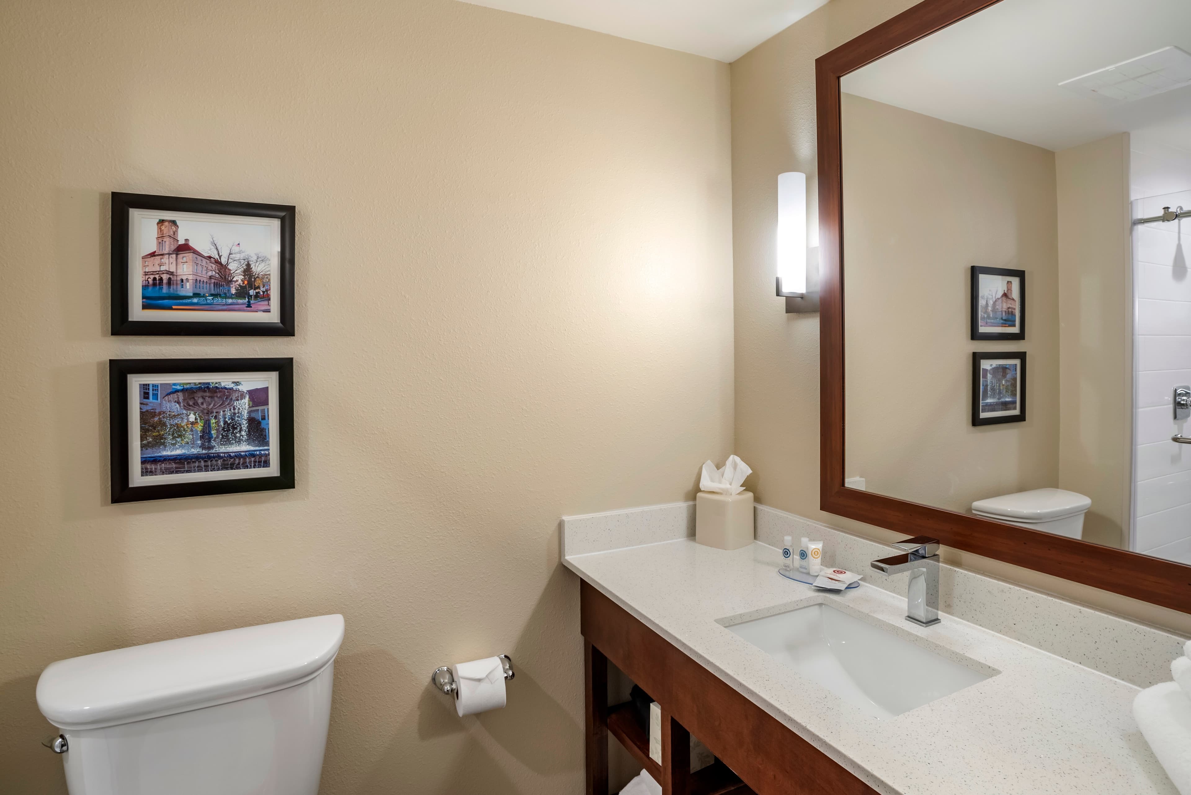 Comfort Inn & Suites Harrisonburg - Image 3