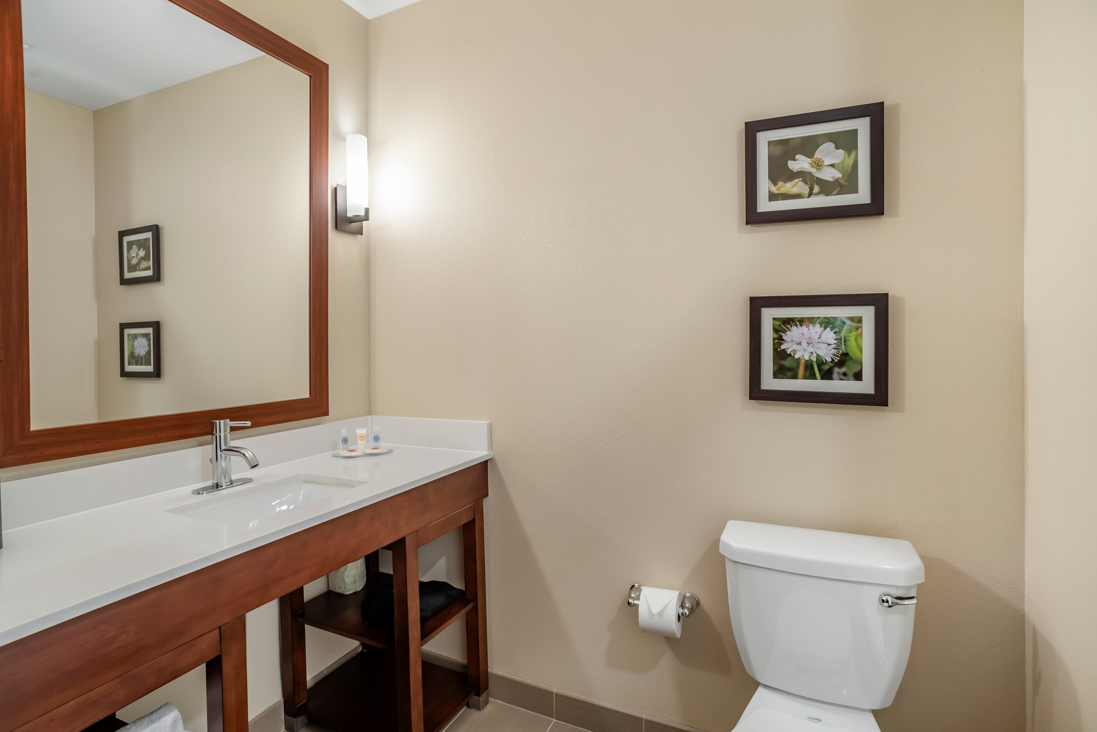 Comfort Inn & Suites Winchester — 12