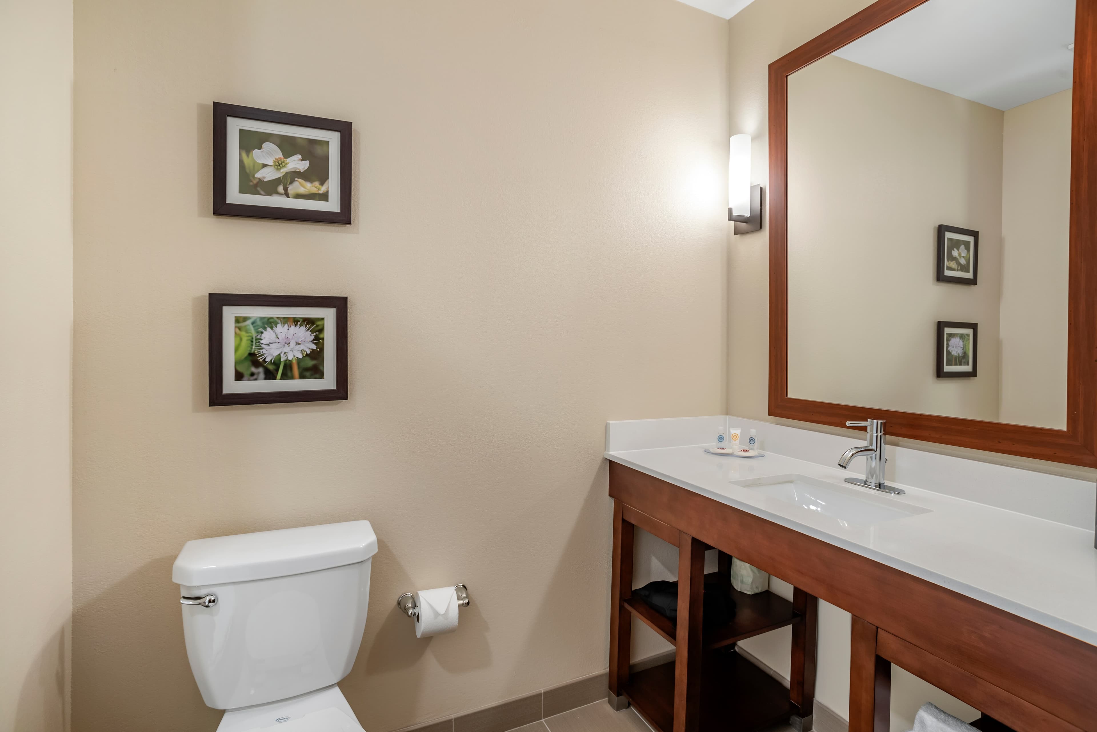 Comfort Inn & Suites Winchester — 27