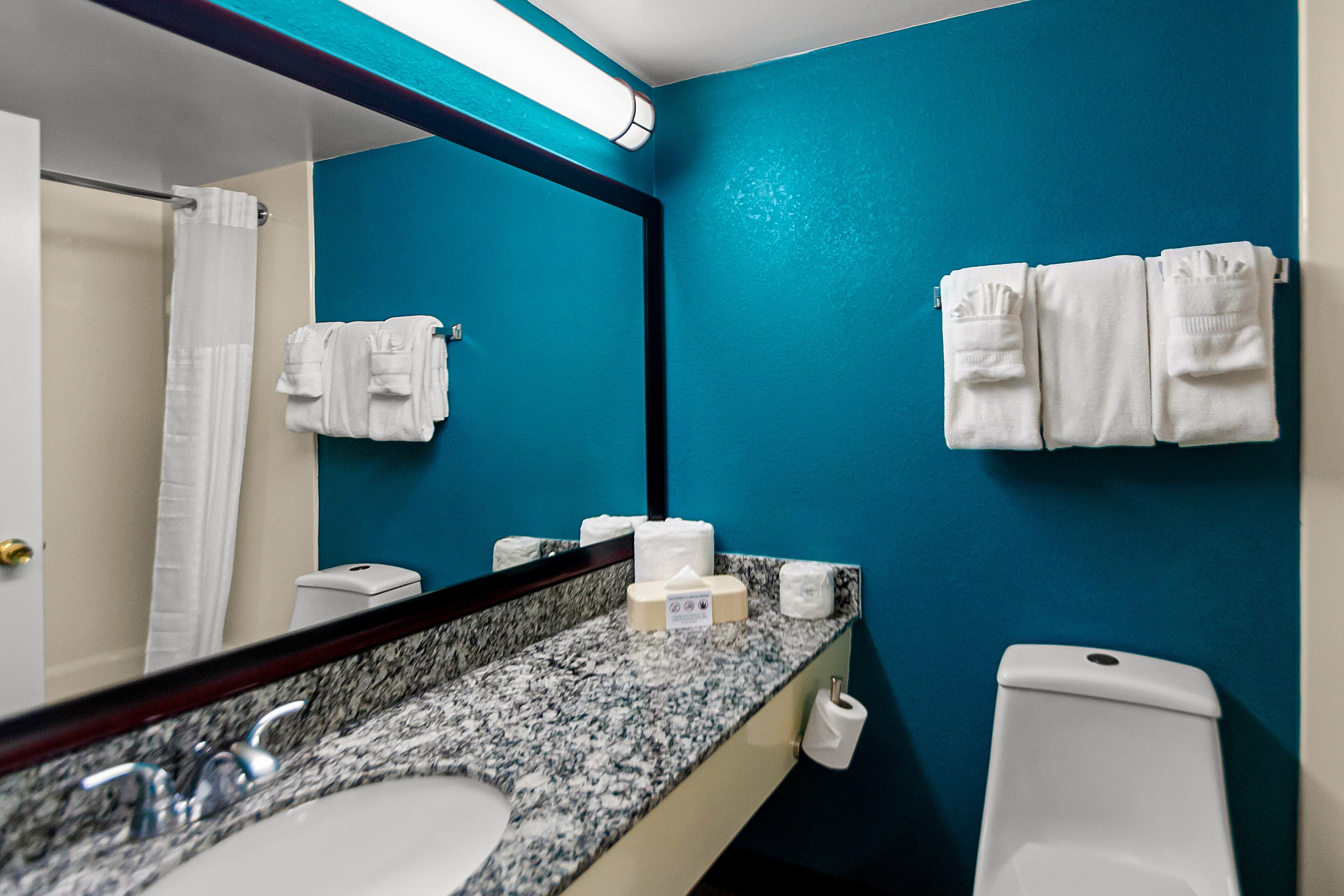 Clarion Inn Falls Church-Arlington — 9