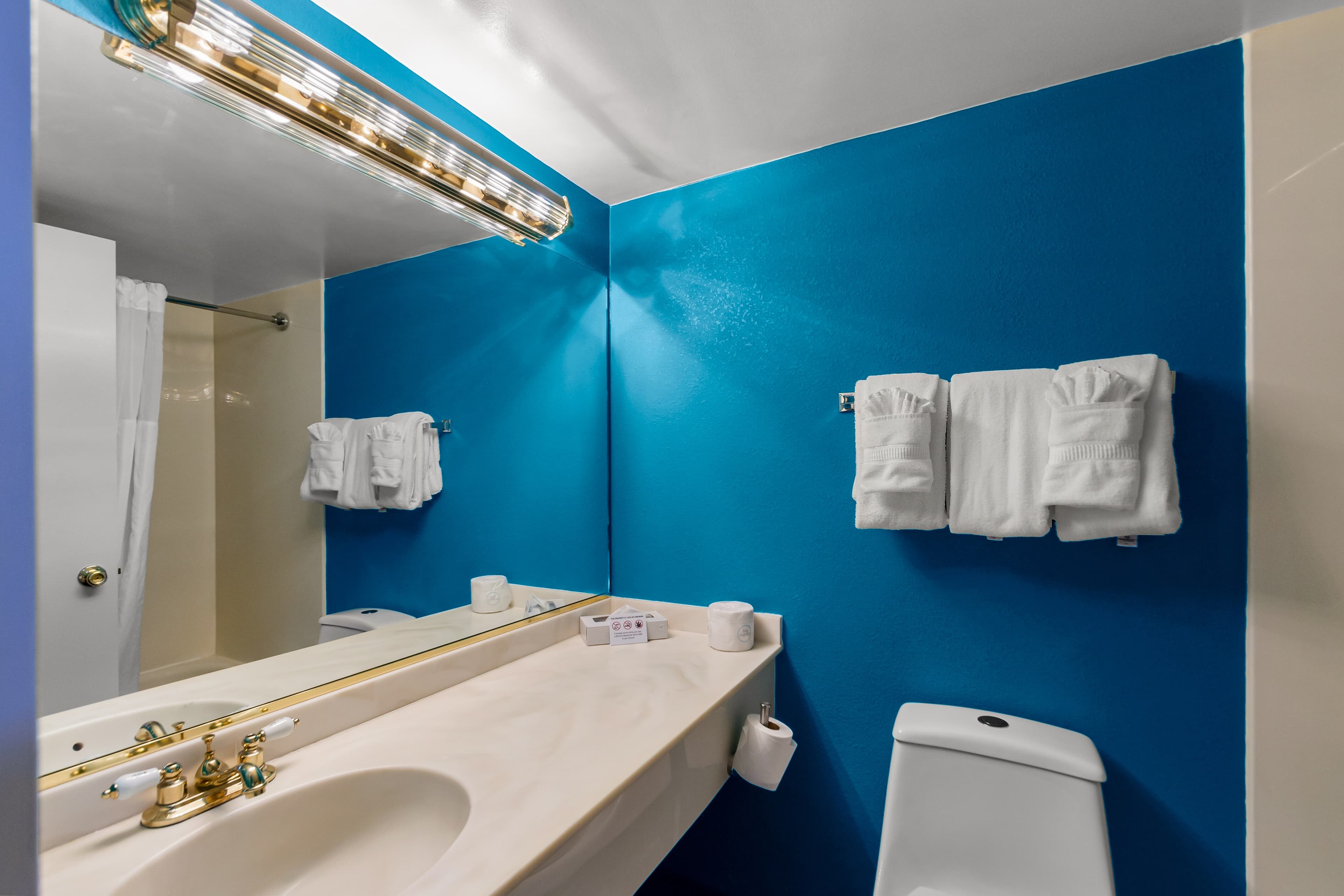 Clarion Inn Falls Church-Arlington — 26
