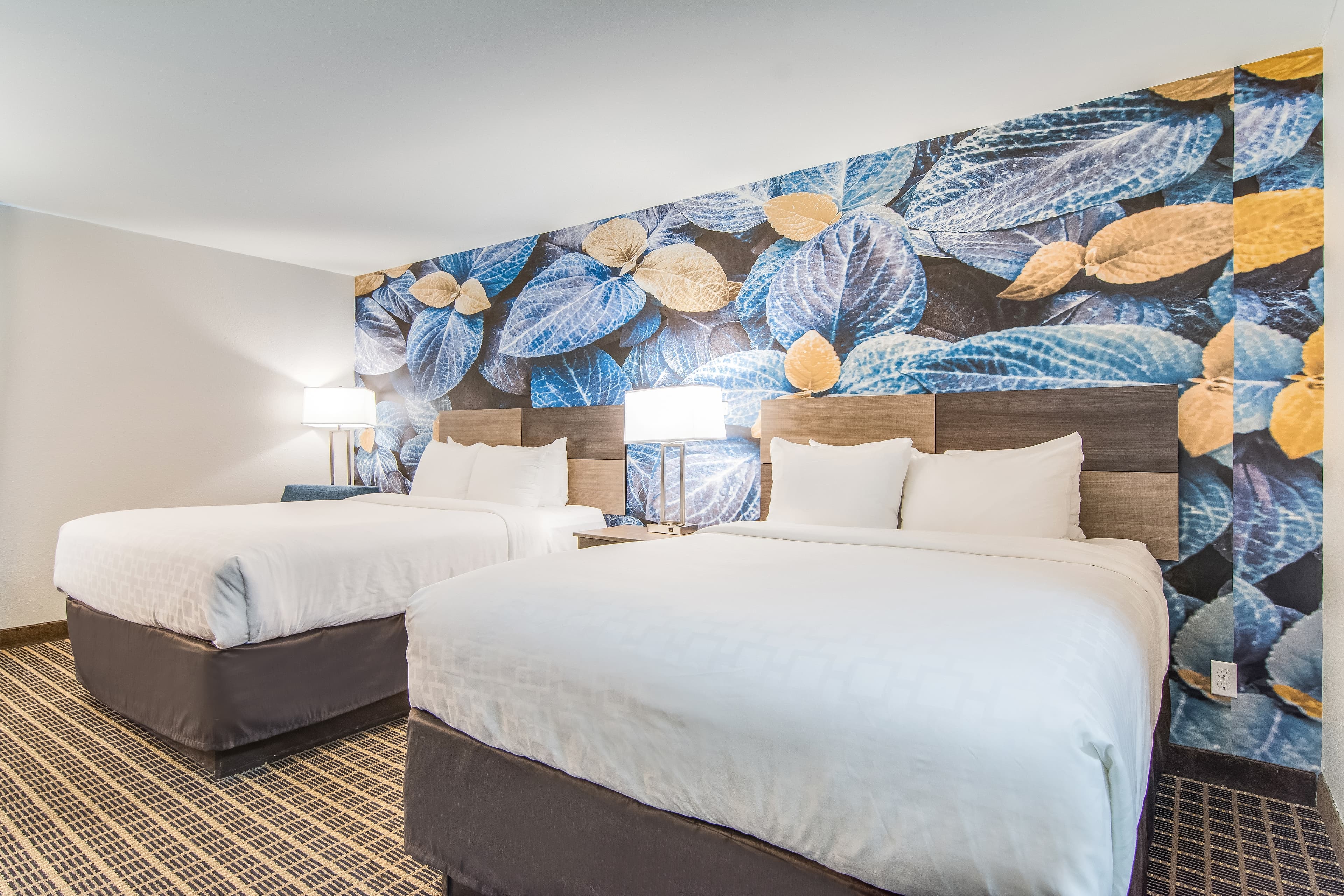 Clarion Pointe South Boston - Danville East — 12