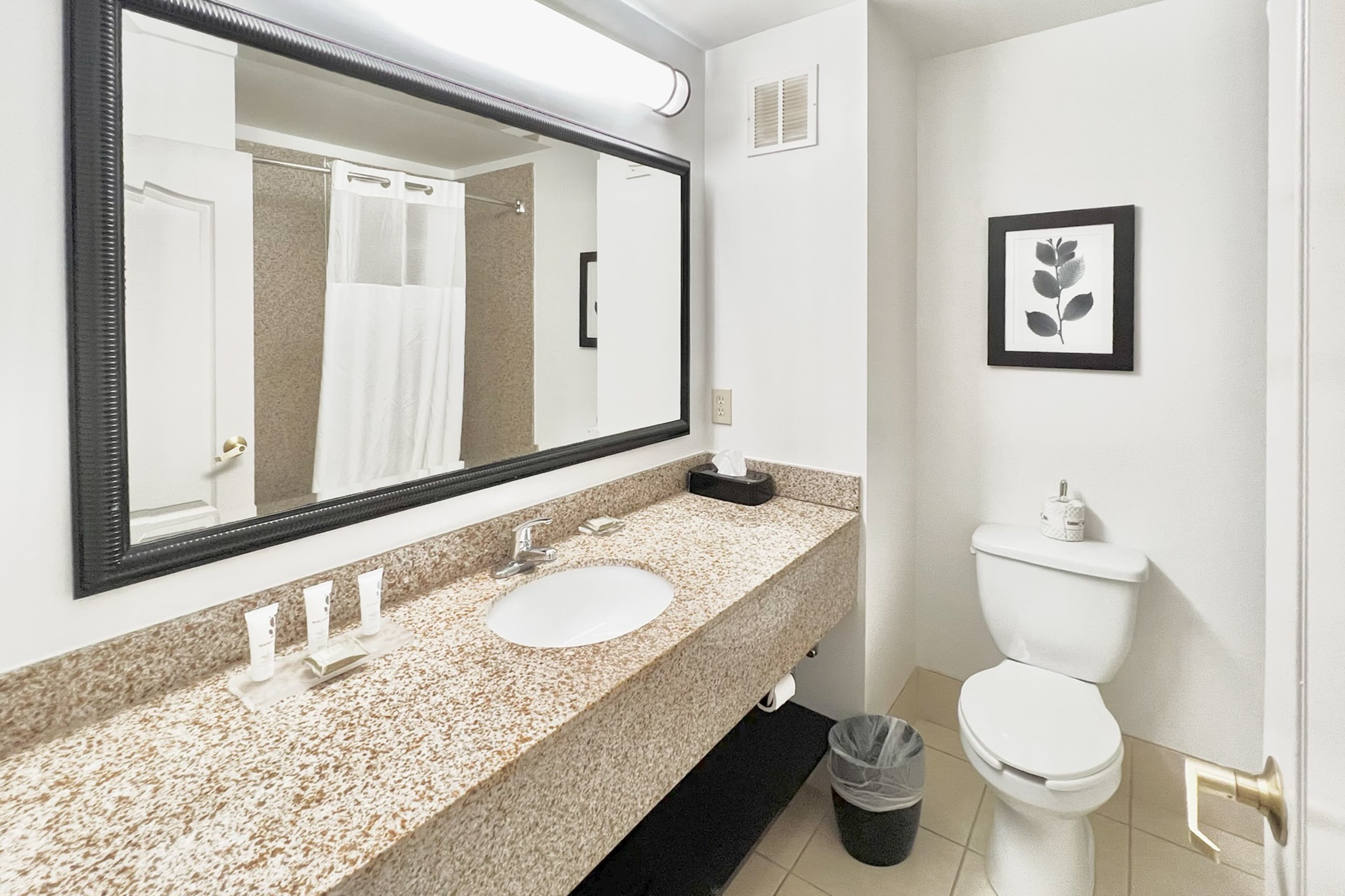 Country Inn & Suites by Radisson, Emporia, VA - Image 5