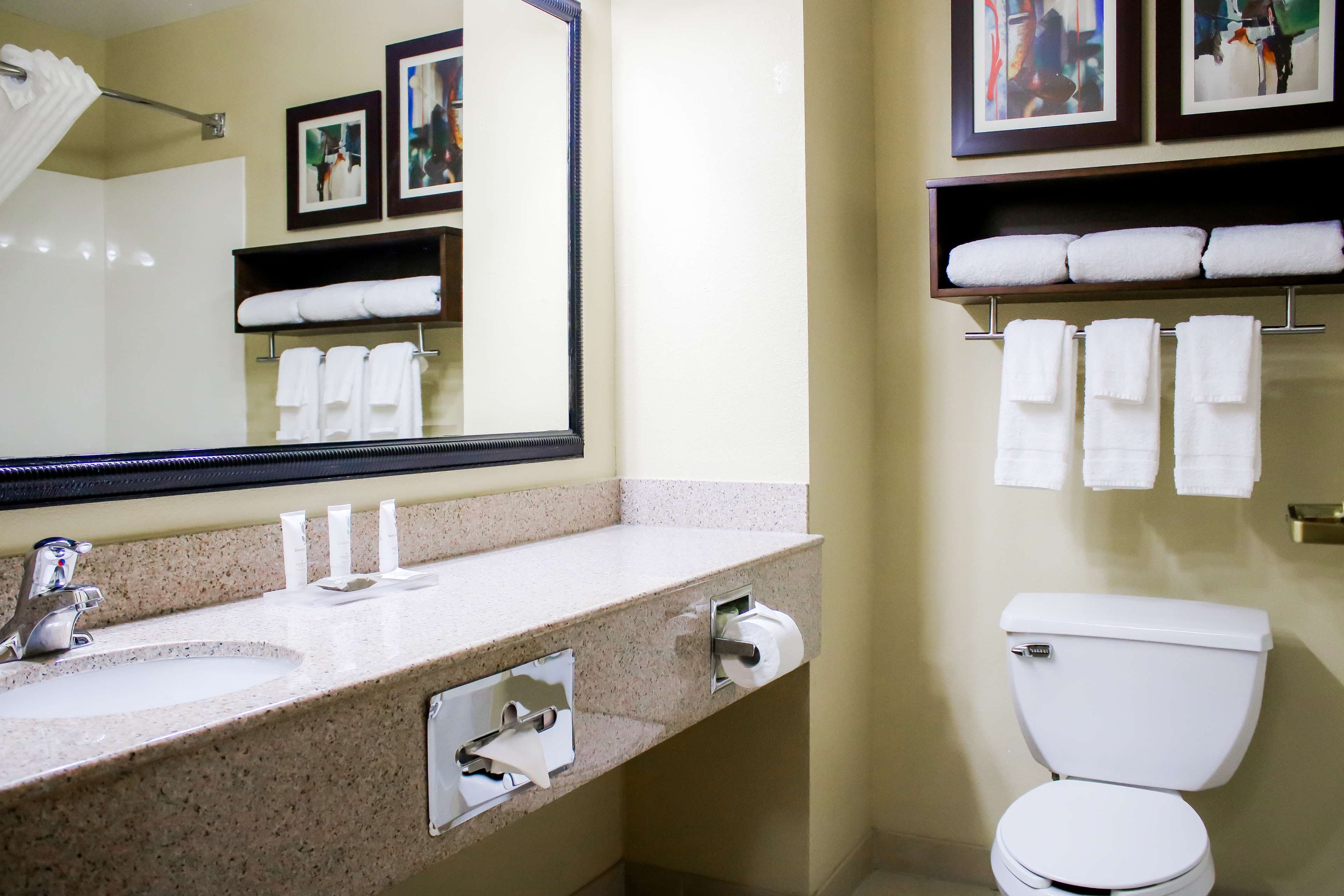 Country Inn & Suites by Radisson, Richmond West at I-64, VA - Image 4