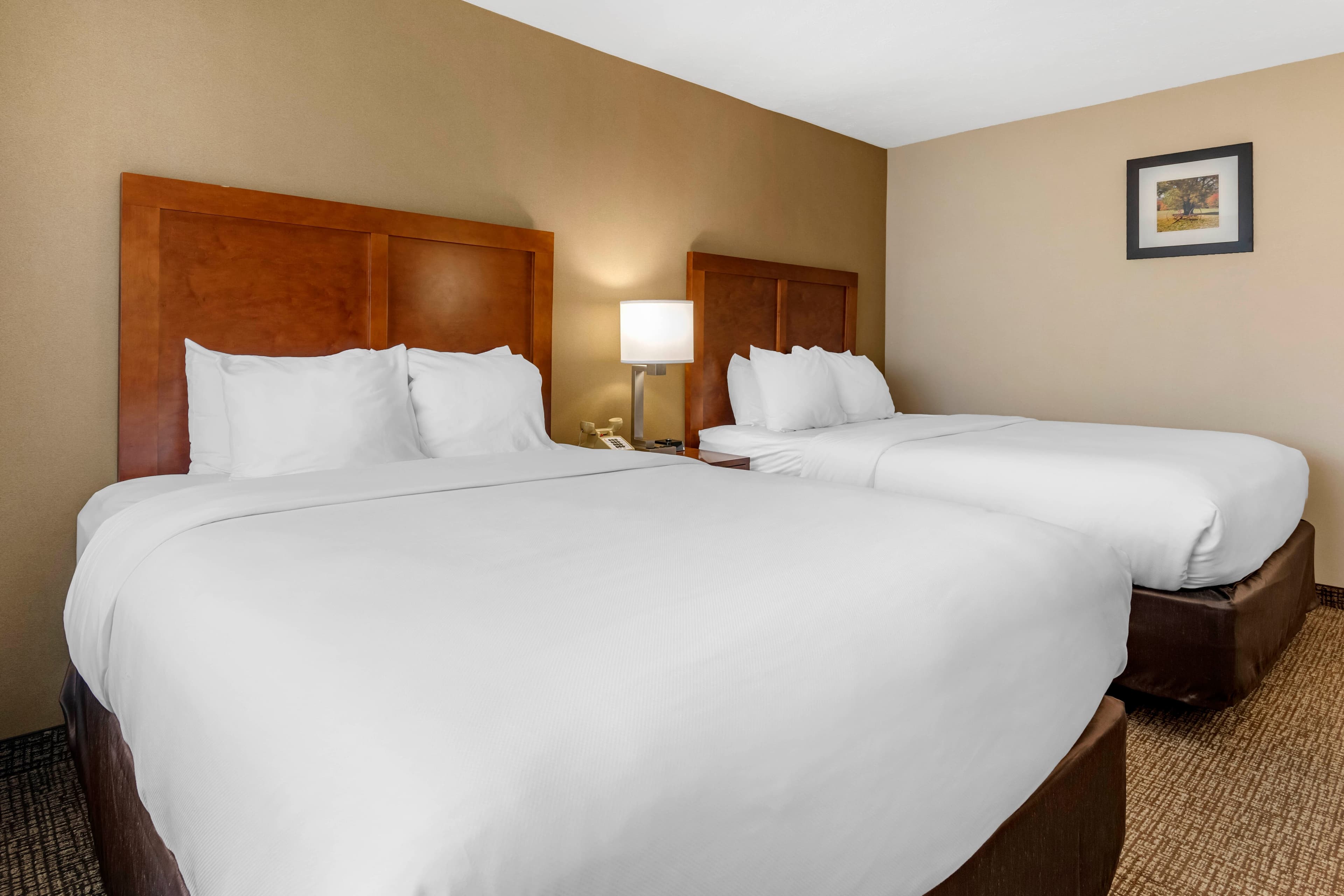 Comfort Inn & Suites Montpelier-Berlin — 11