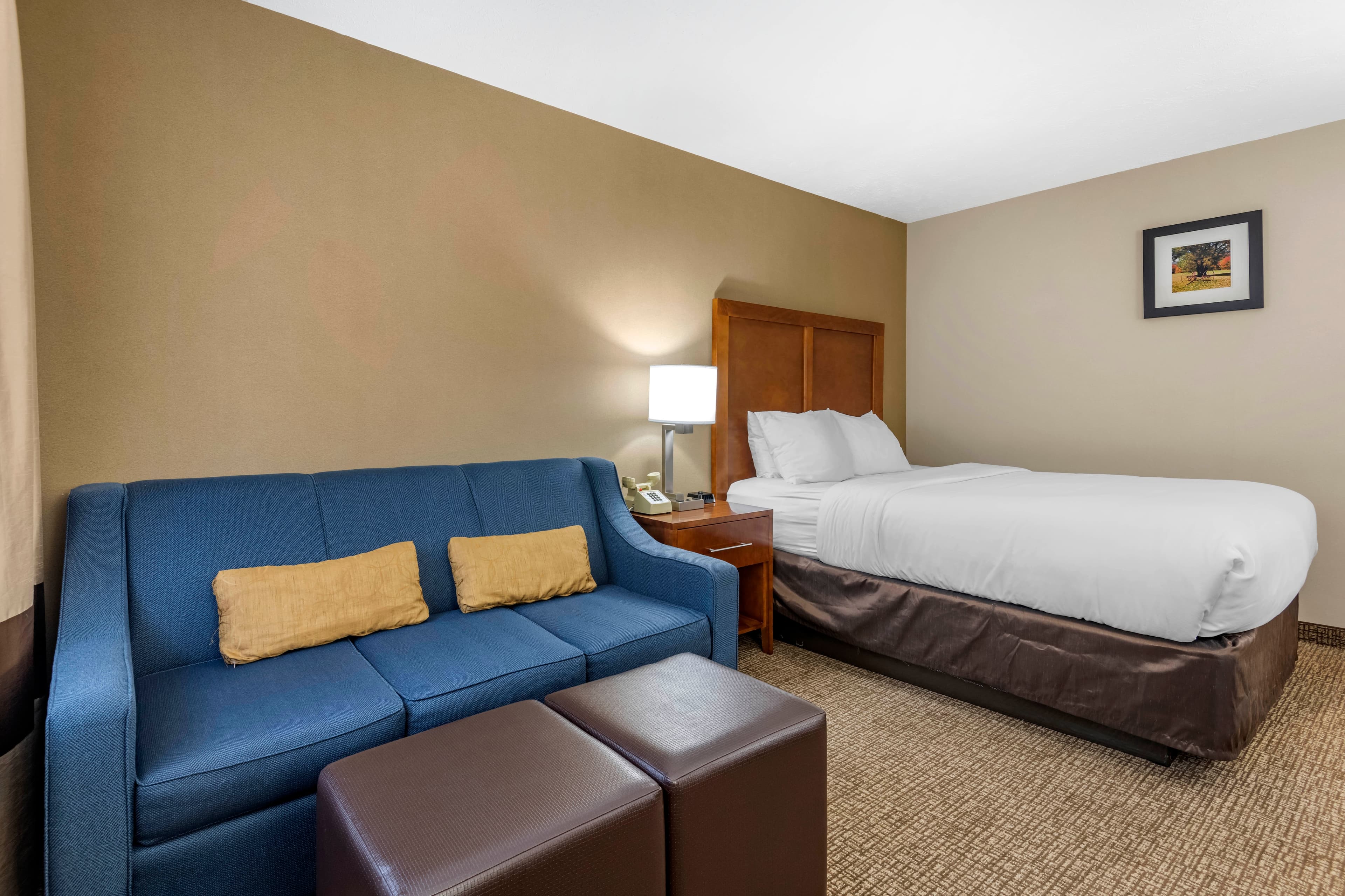 Comfort Inn & Suites Montpelier-Berlin — 7