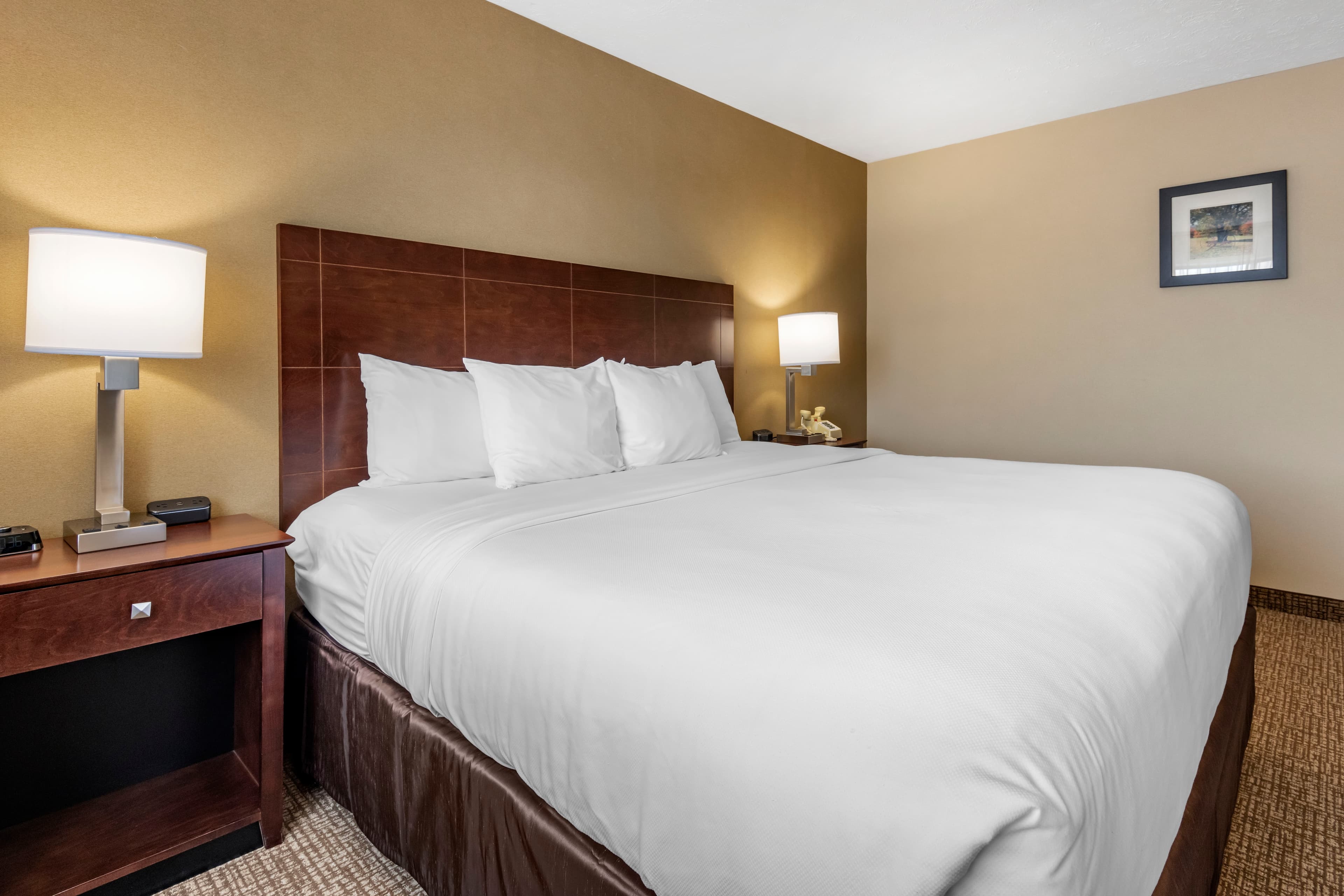 Comfort Inn & Suites Montpelier-Berlin — 14