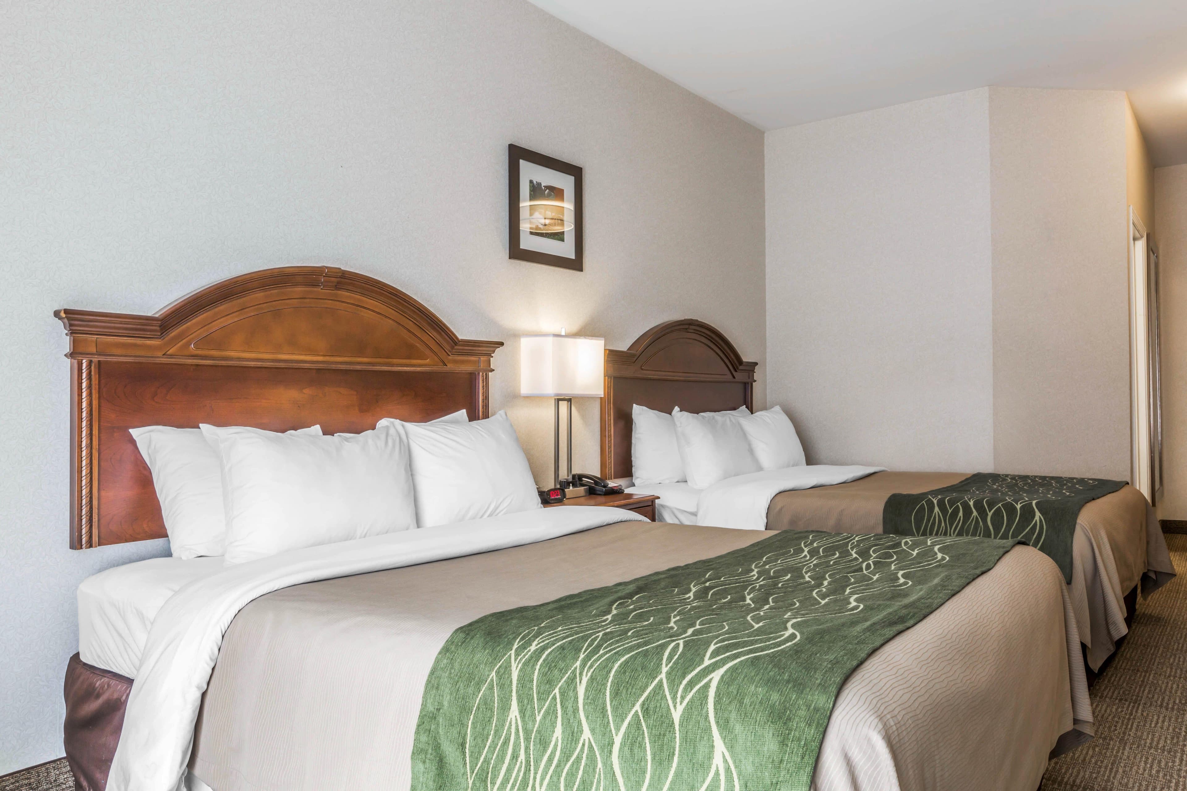 Comfort Inn & Suites South Burlington near University — 14