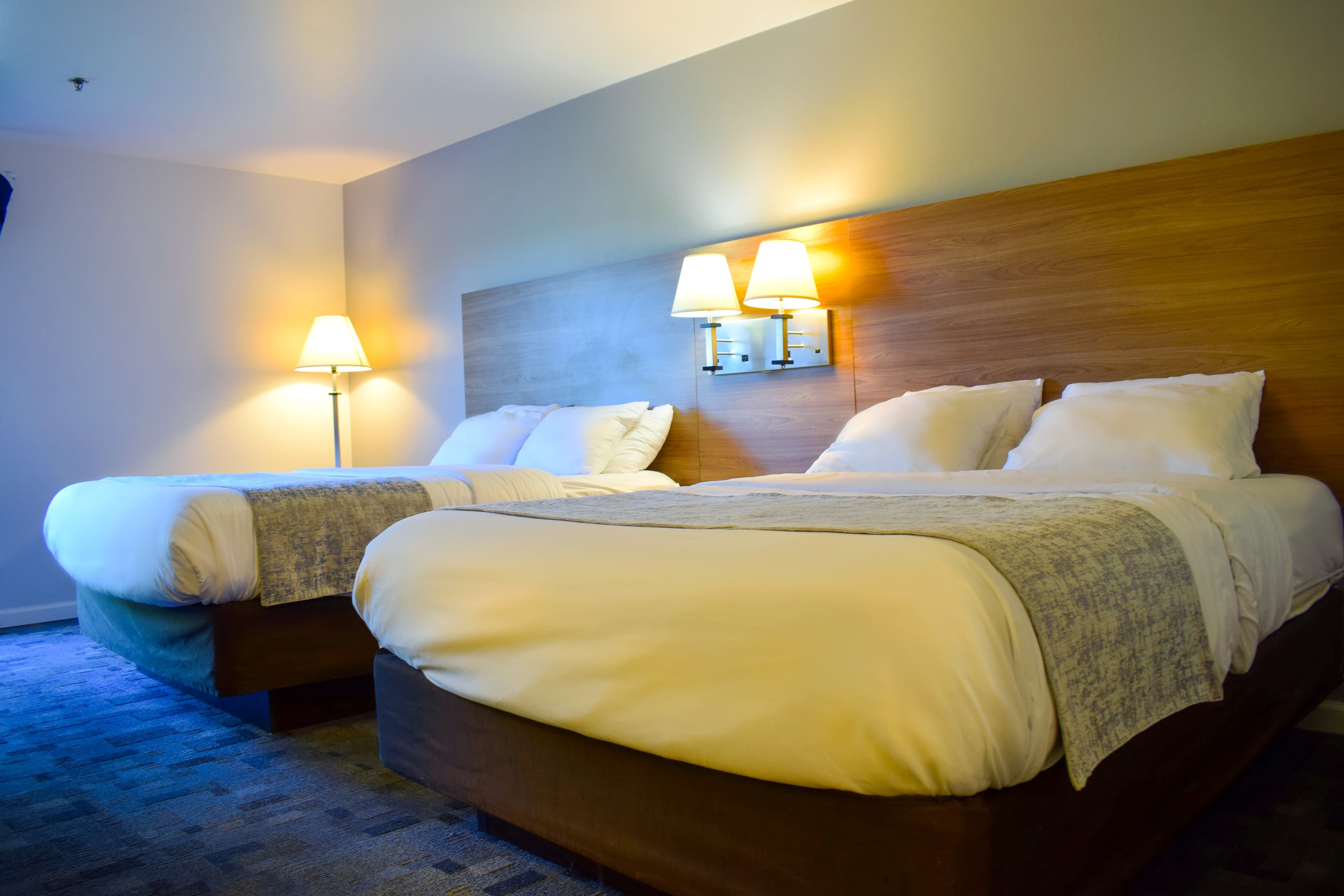 Comfort Inn Bellingham - Image 4