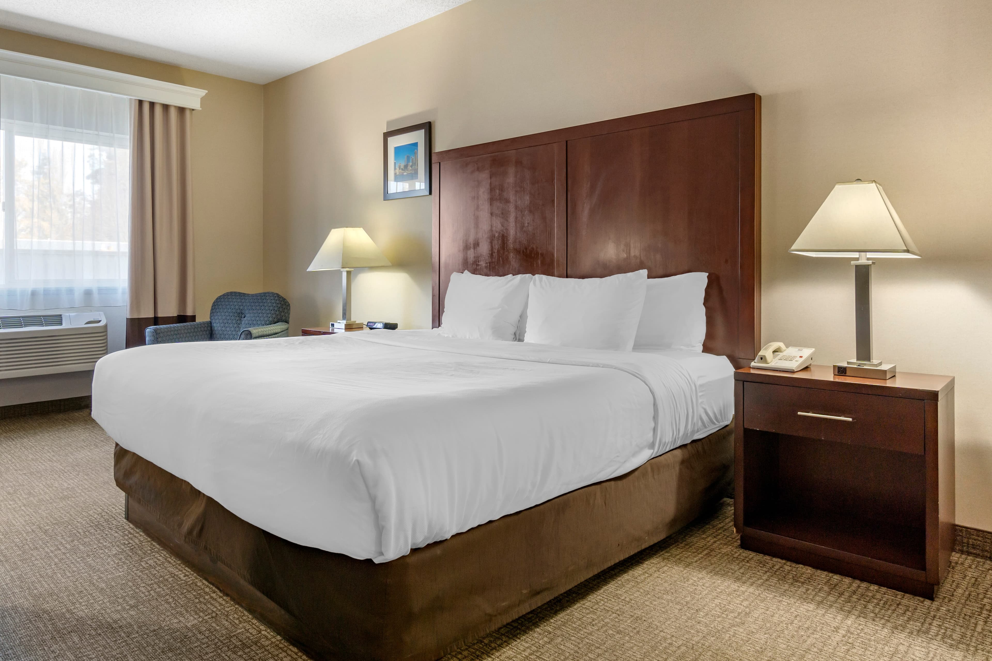 Comfort Inn & Suites Seattle North - Image 4