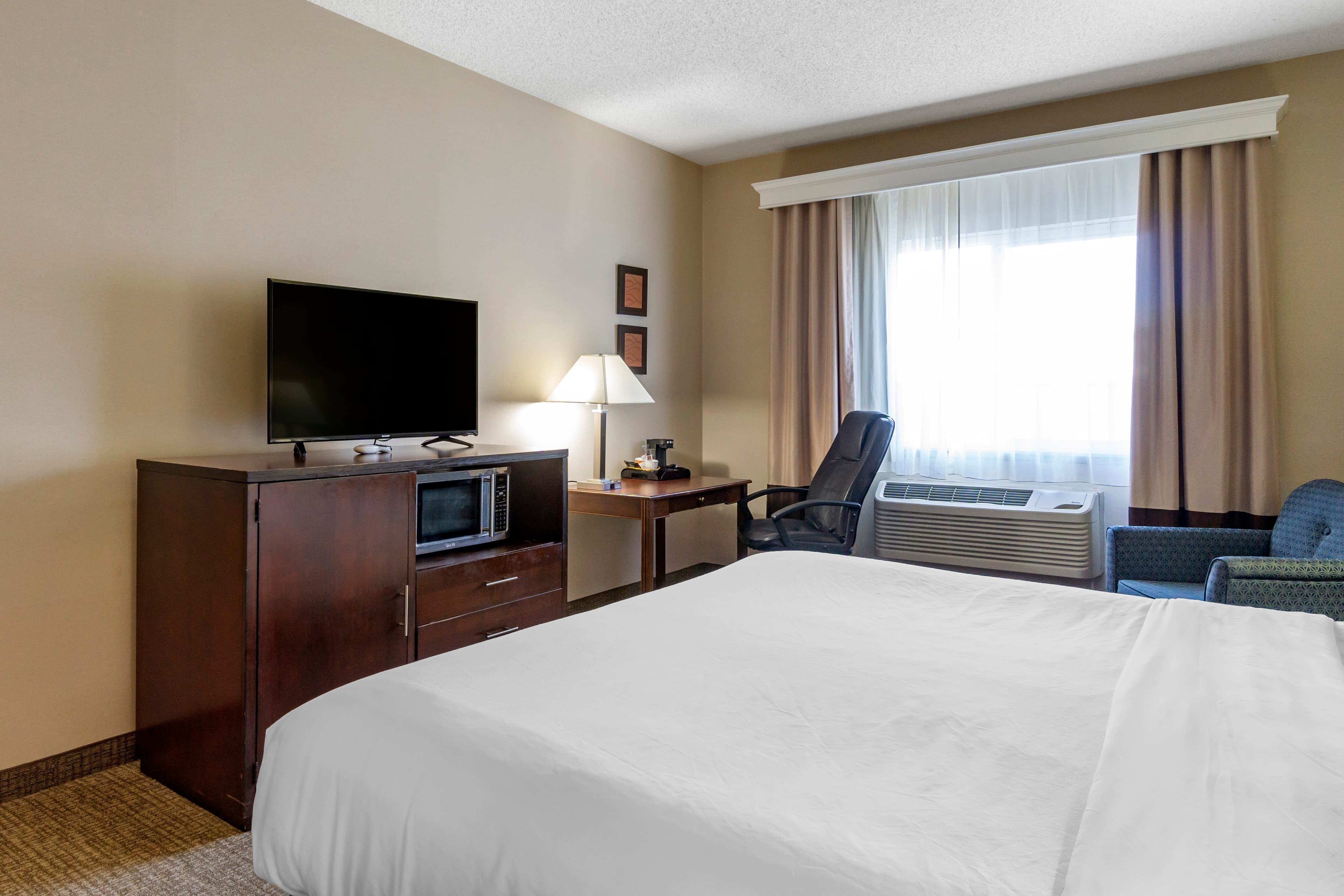 Comfort Inn & Suites Seattle North - Image 5