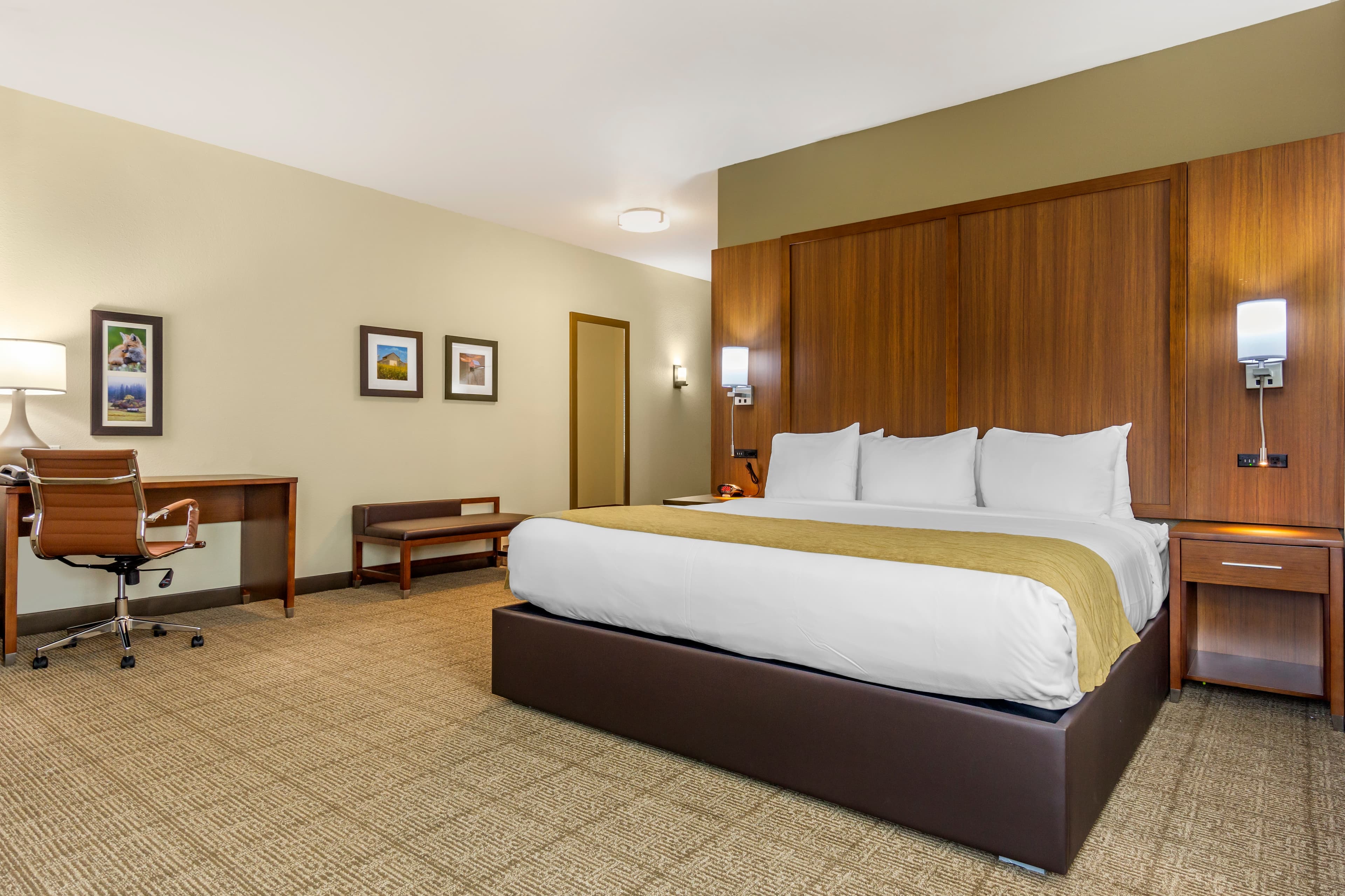 Comfort Inn & Suites Lakewood by JBLM - Image 3