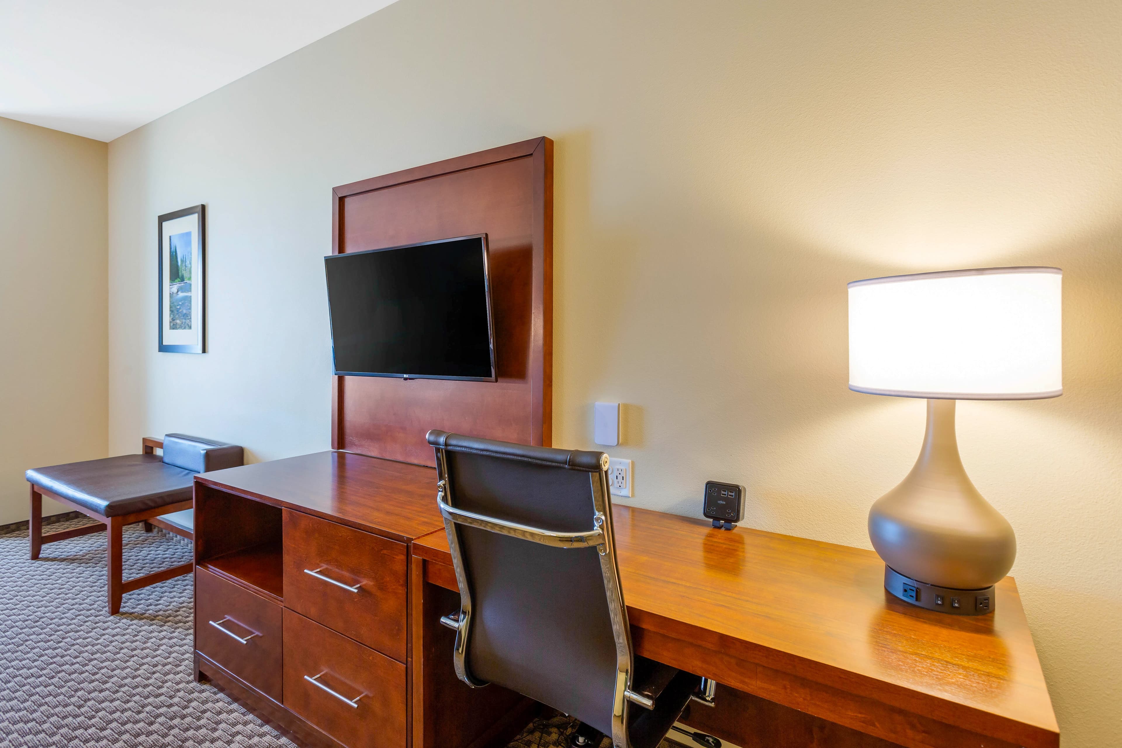 Comfort Suites Burlington near I-5 — 29