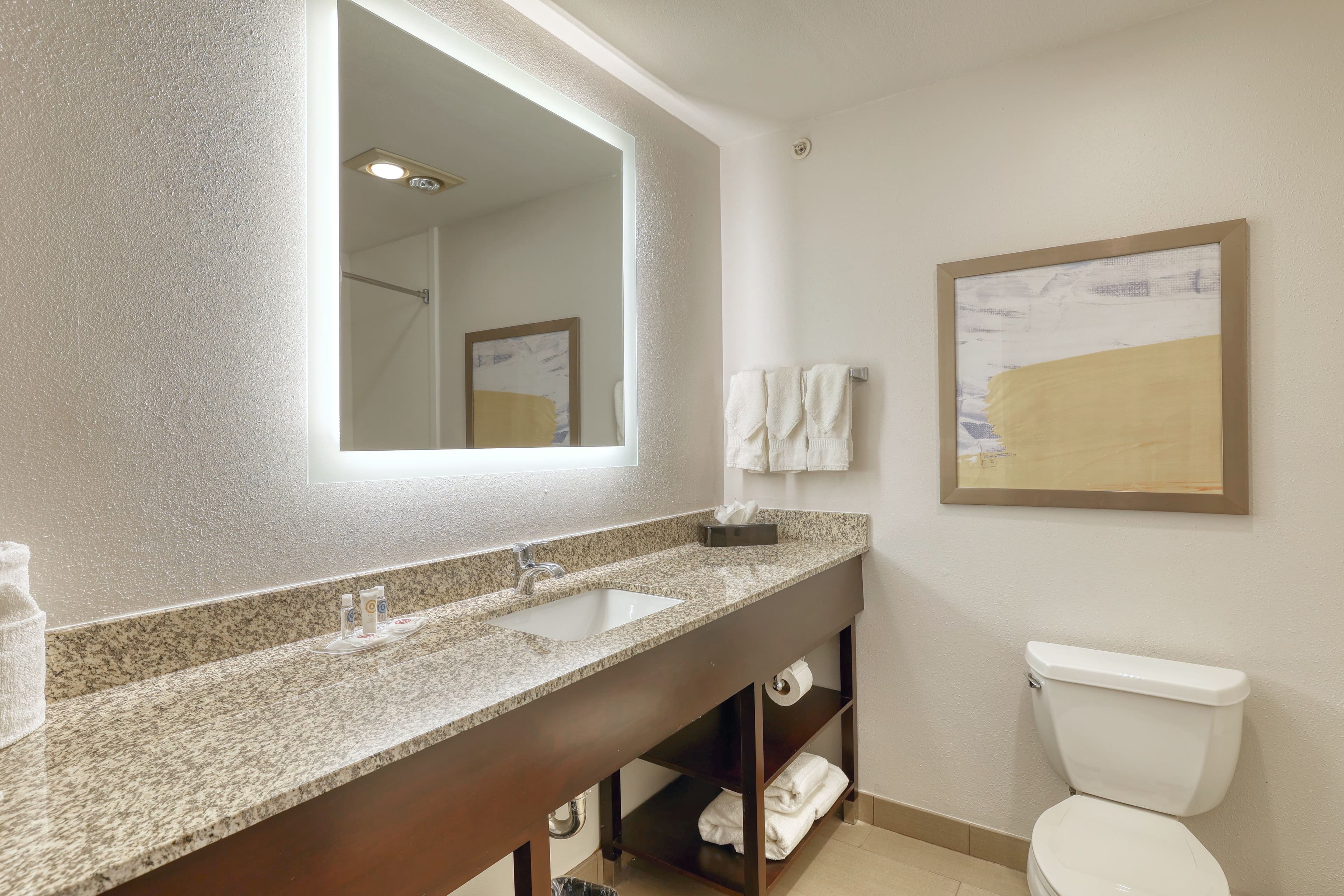 Comfort Suites Milwaukee Airport — 39