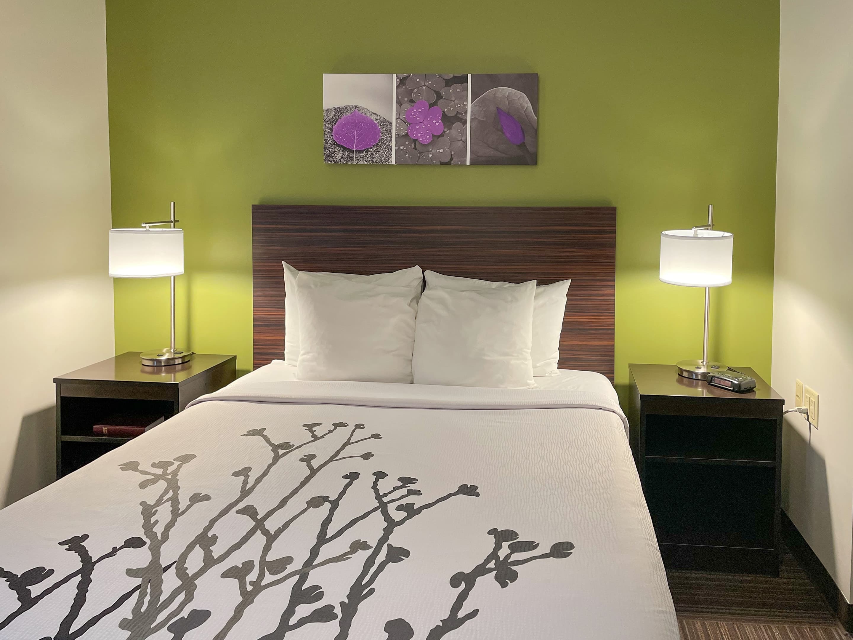 Sleep Inn Antigo - Image 1
