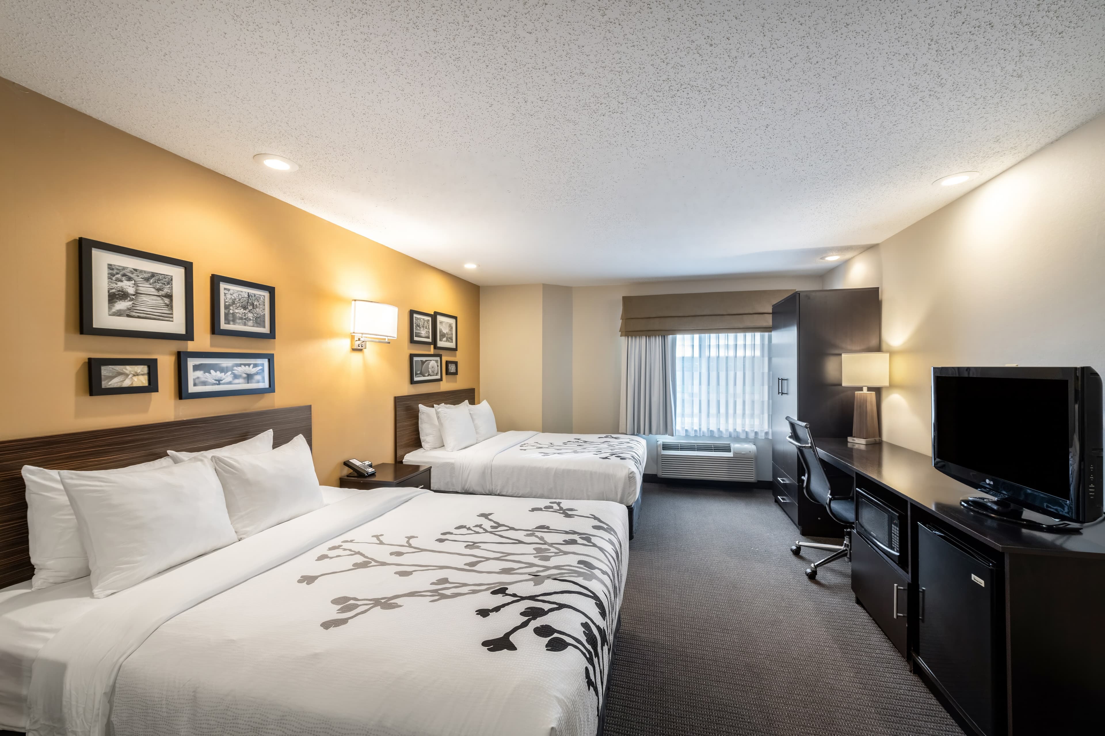 Sleep Inn & Suites Green Bay South - Image 2