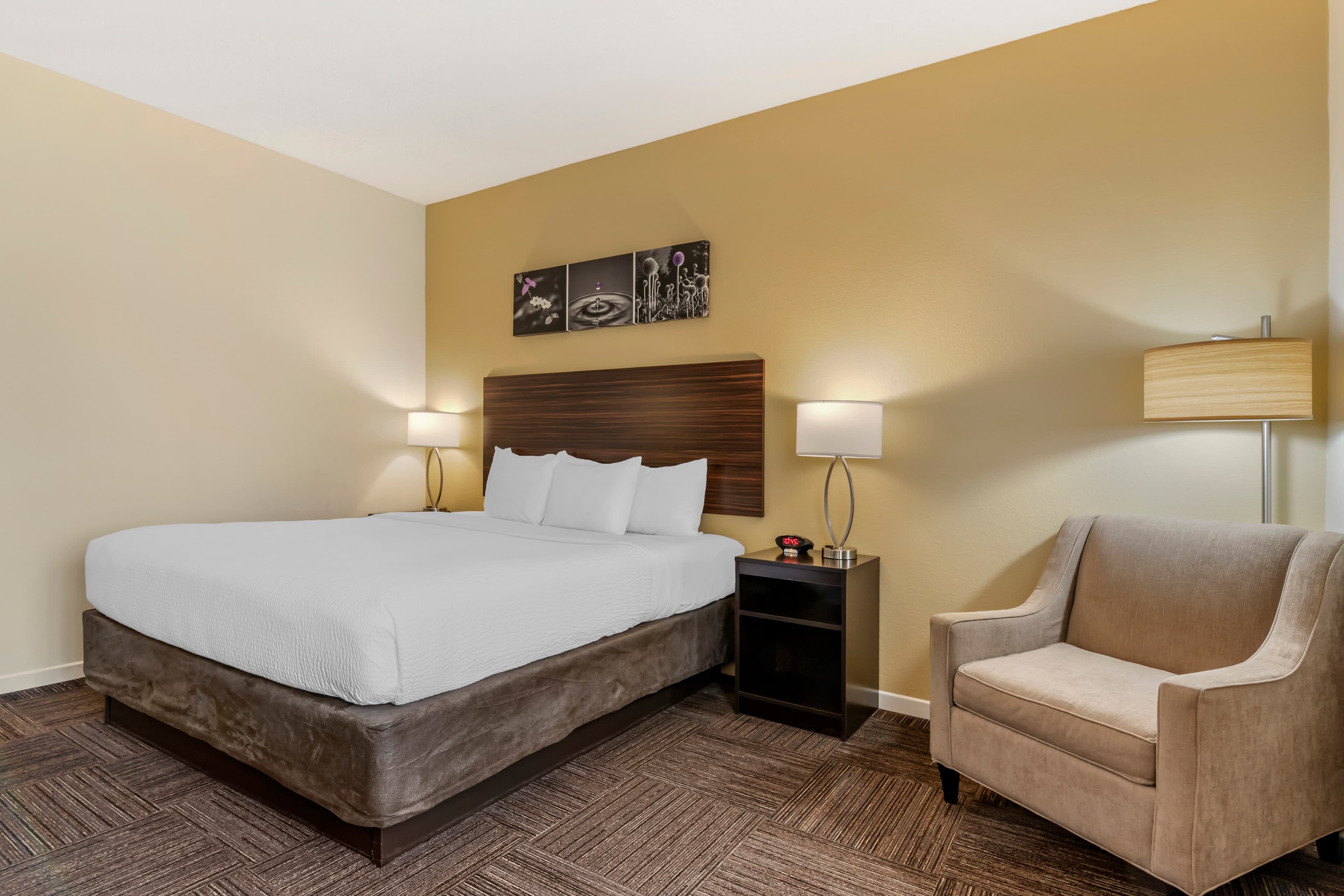 Sleep Inn & Suites Wisconsin Rapids — 10