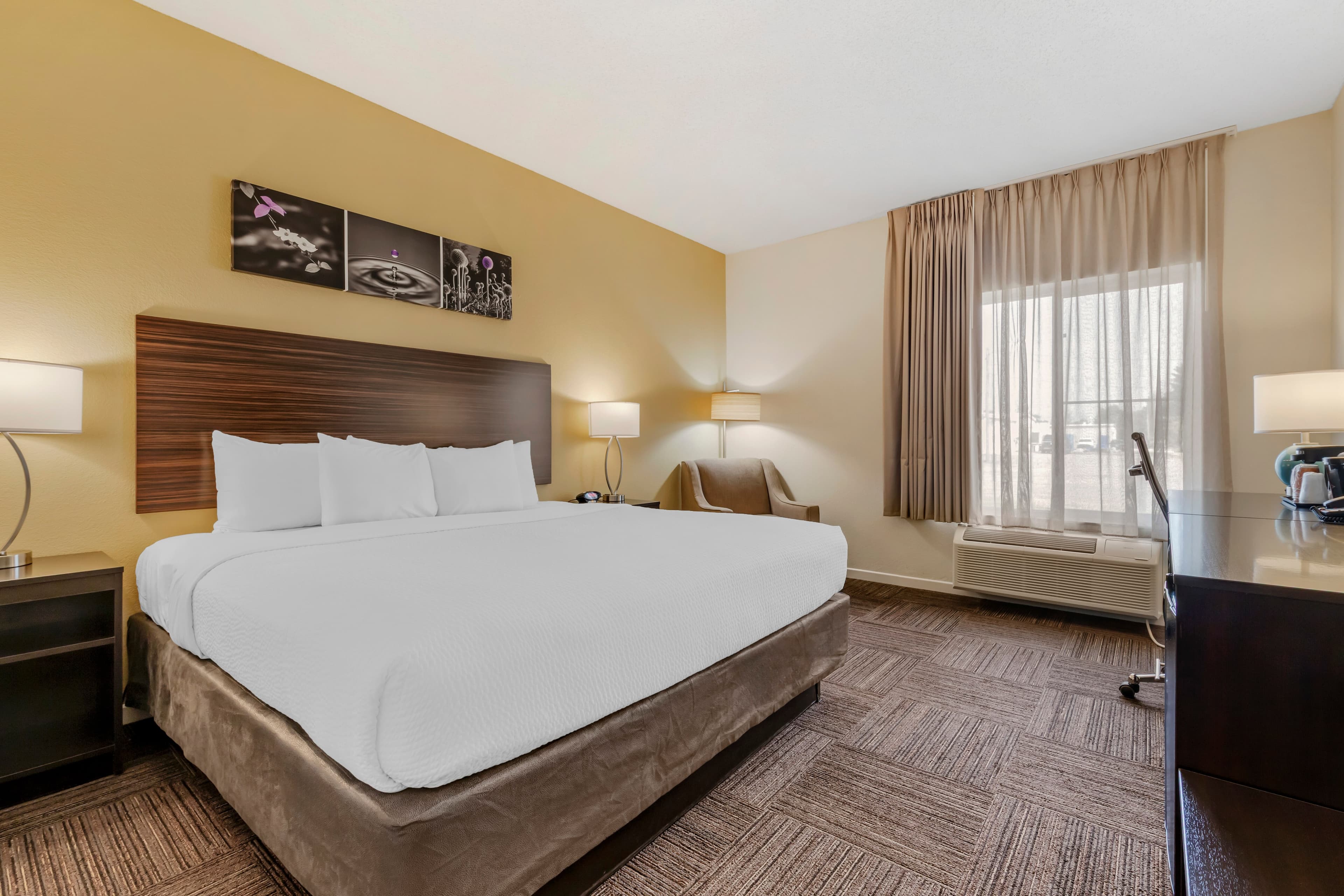 Sleep Inn & Suites Wisconsin Rapids — 11