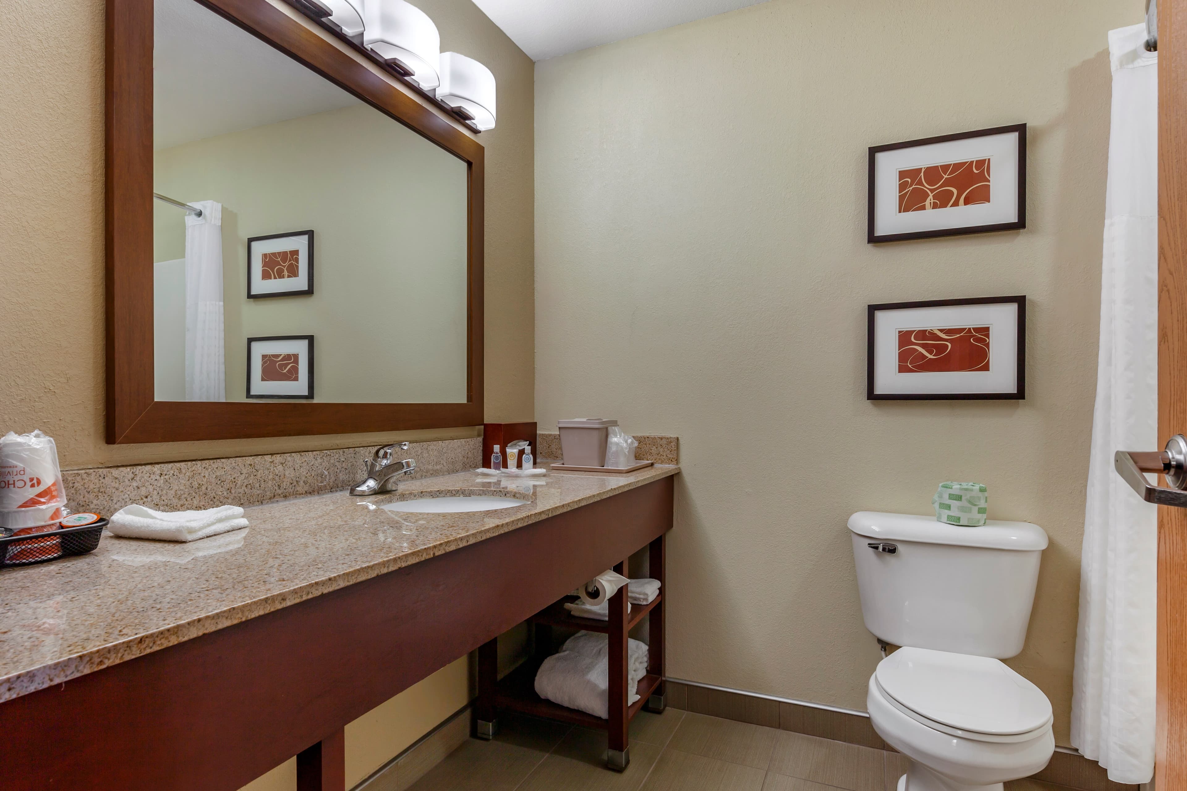 Comfort Suites Delavan - Lake Geneva Area — 6
