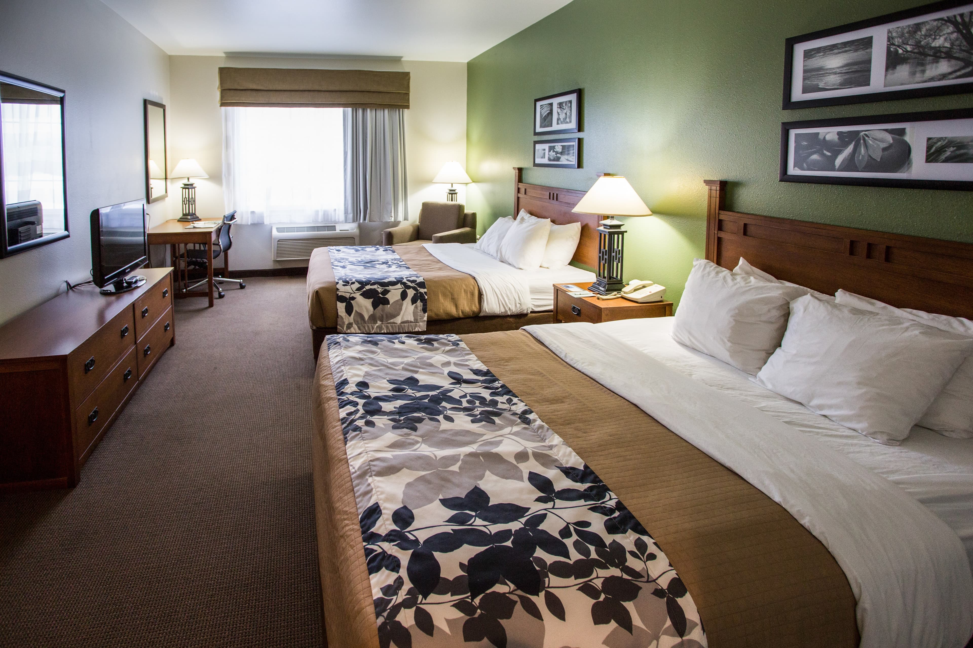 Sleep Inn & Suites Conference Center Eau Claire North — 8