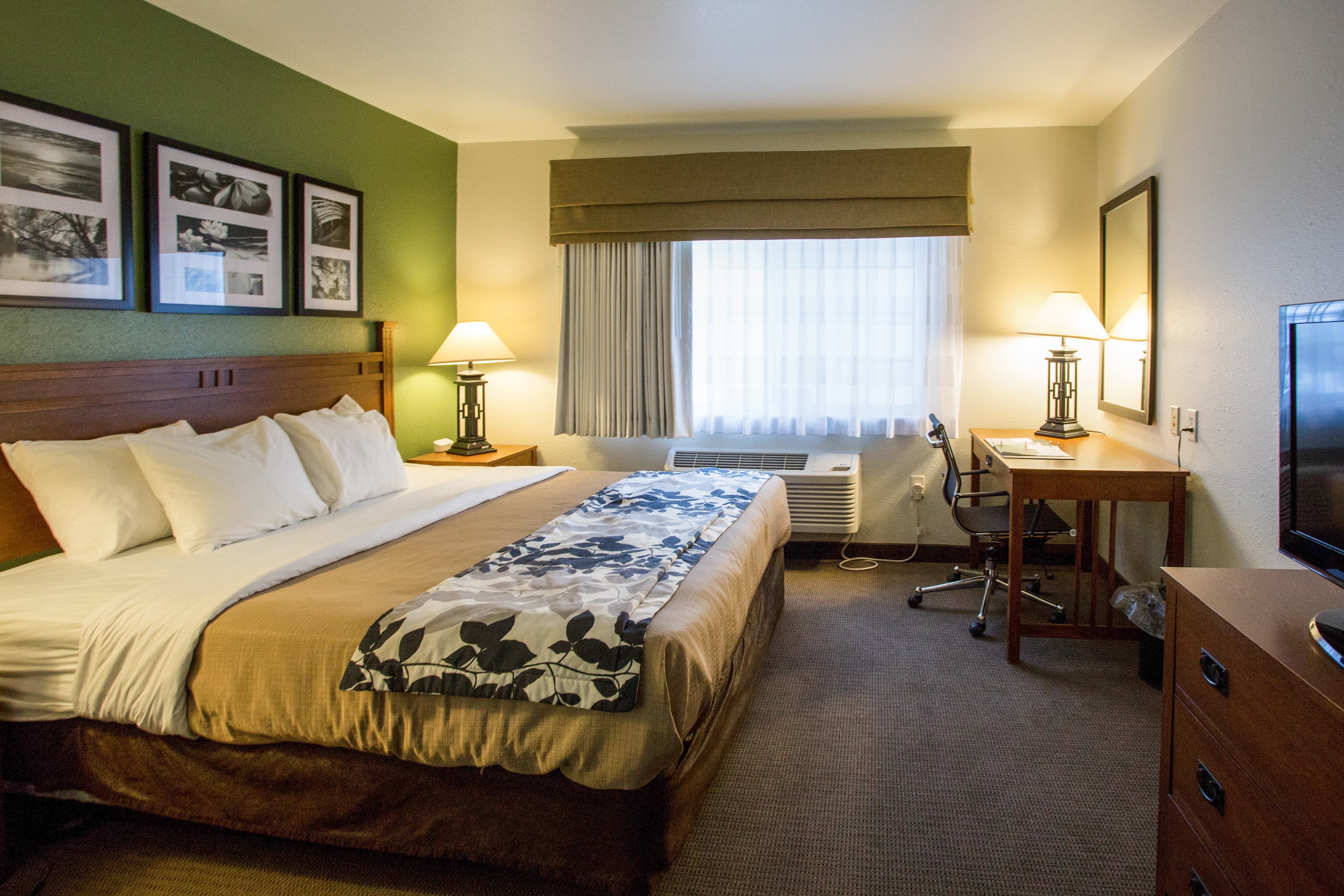 Sleep Inn & Suites Conference Center Eau Claire North — 9
