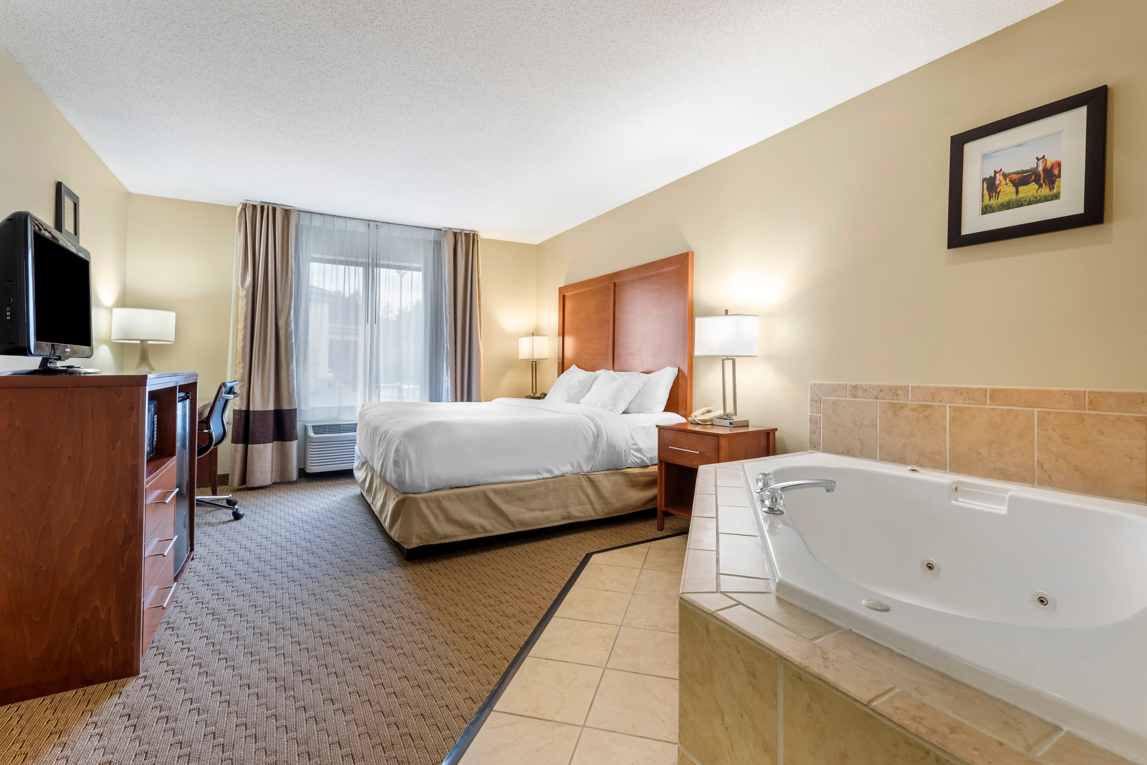 Comfort Inn & Suites Black River Falls I-94 — 8