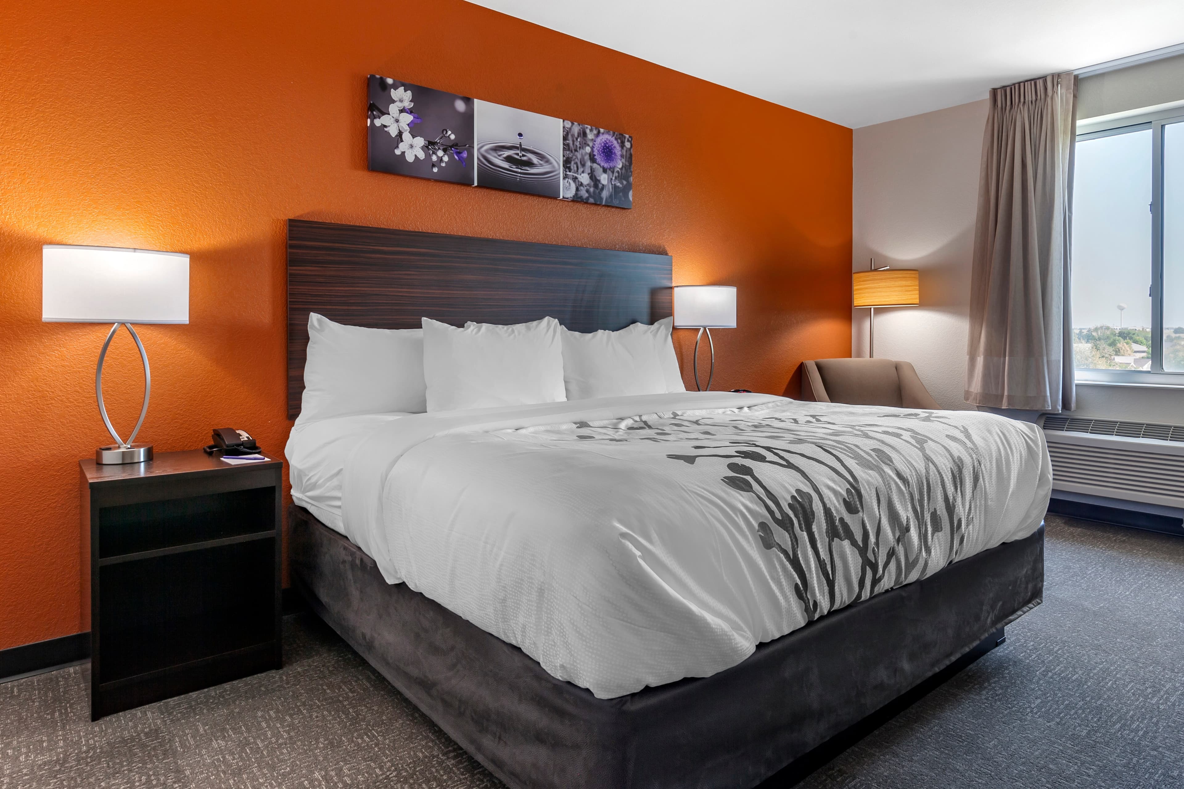 Sleep Inn & Suites Lancaster-Platteville - Image 5