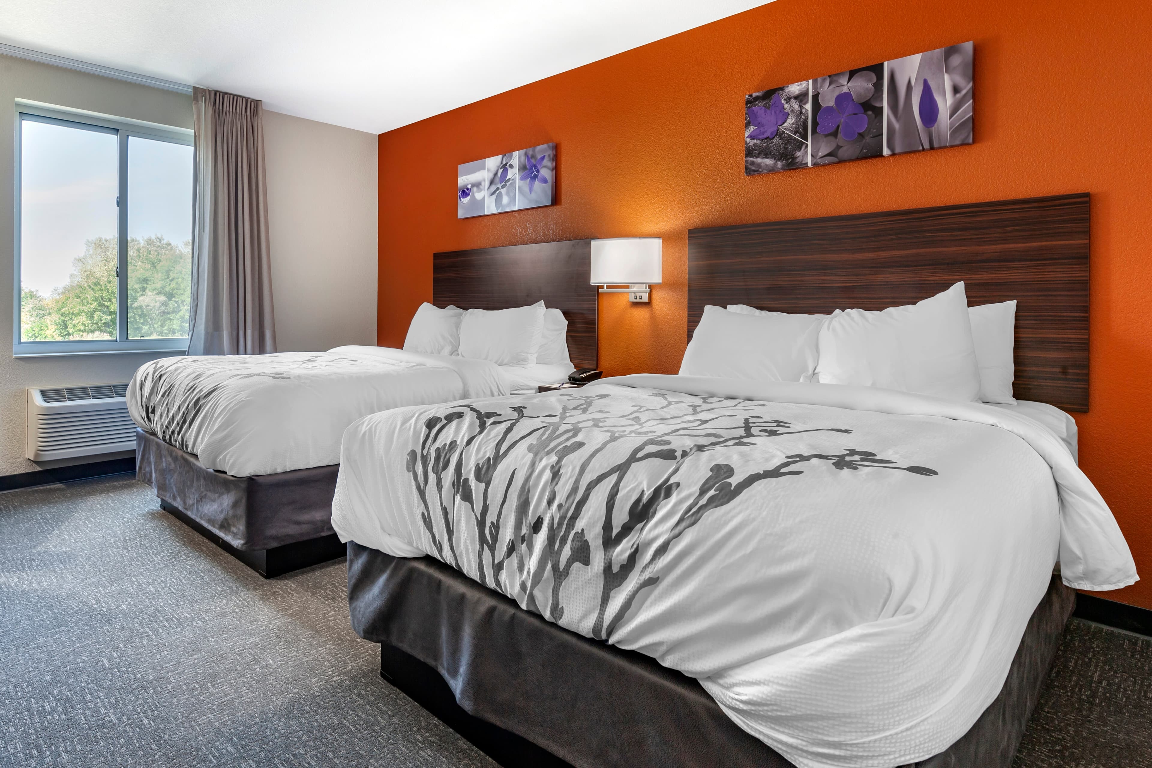 Sleep Inn & Suites Lancaster-Platteville — 9