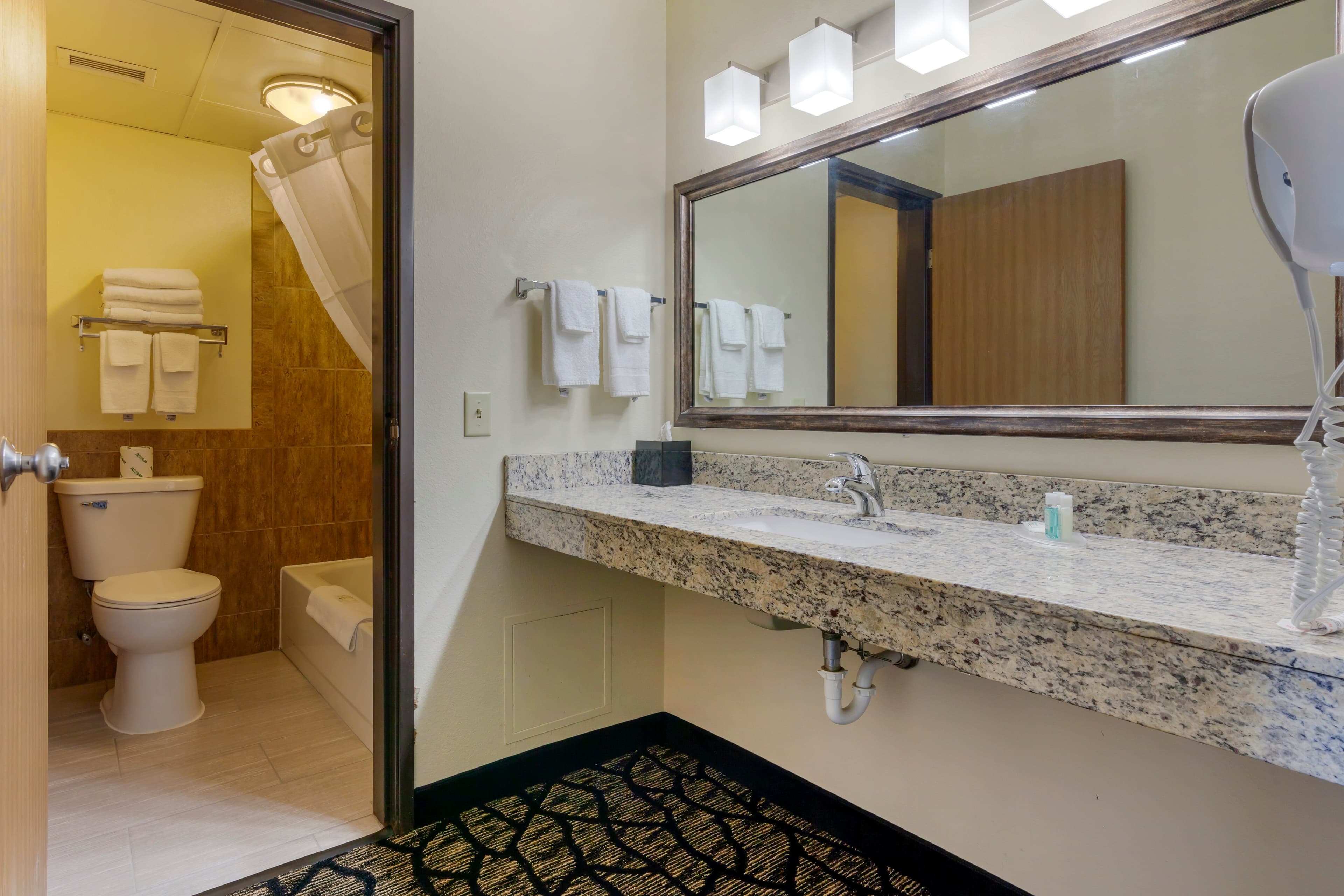 Quality Inn Oshkosh Aviation Park — 31