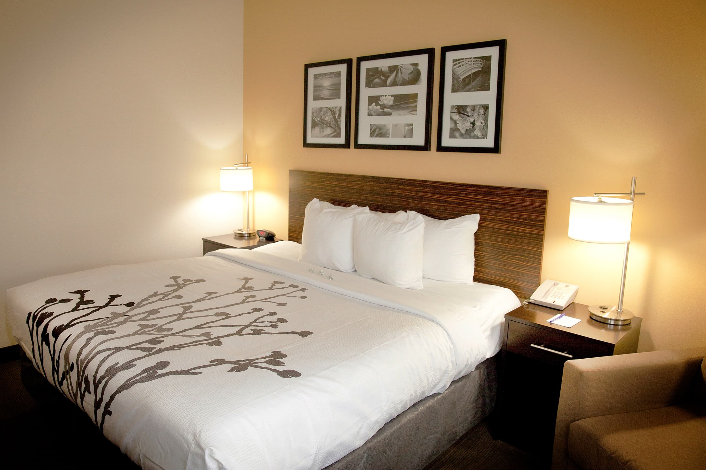 Sleep Inn & Suites Moundsville - Wheeling - Image 2