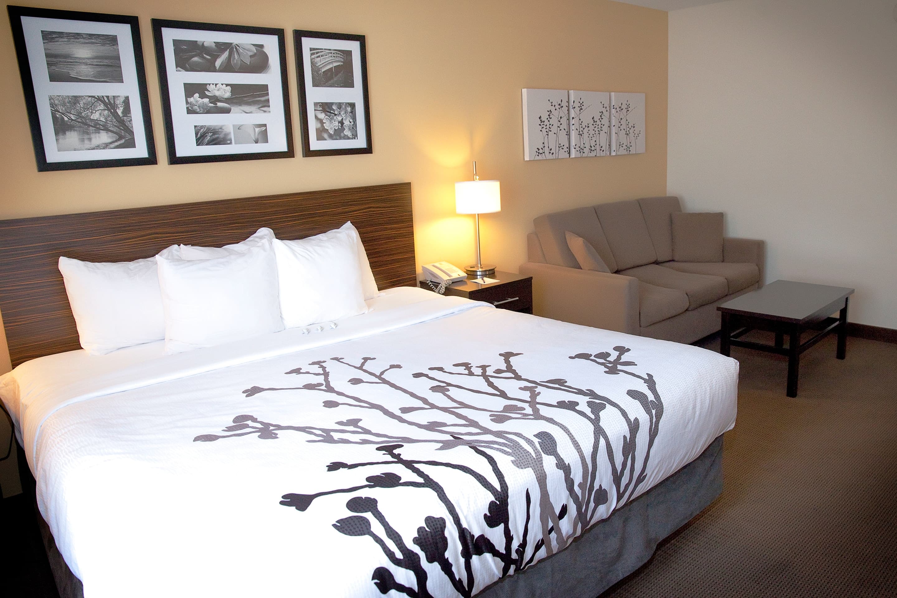 Sleep Inn & Suites Moundsville - Wheeling — 22