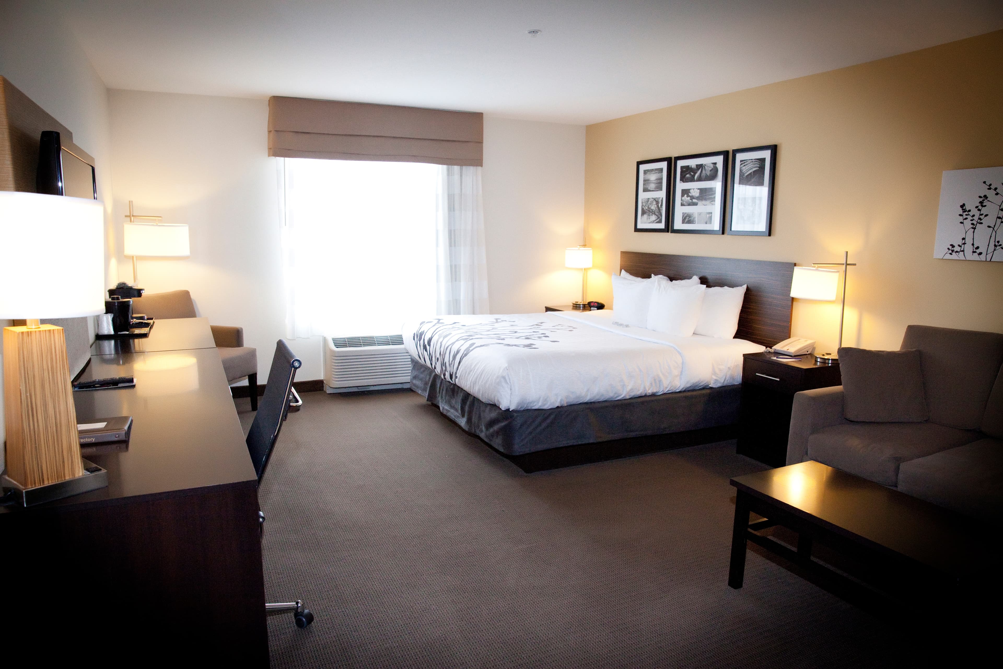 Sleep Inn & Suites Moundsville - Wheeling — 19
