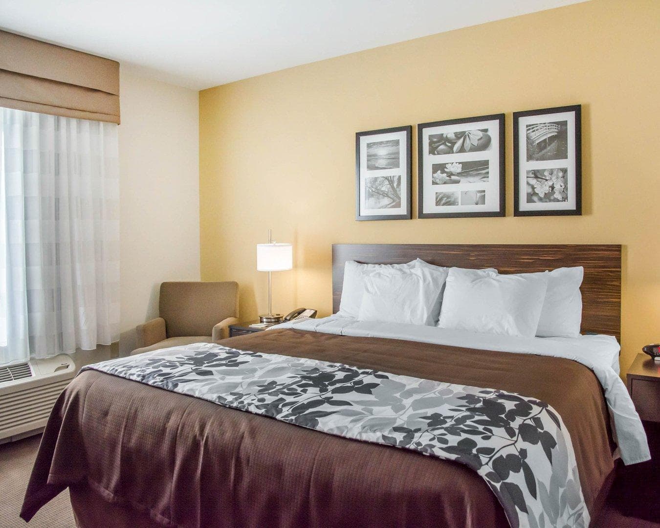 Sleep Inn & Suites Parkersburg - Marietta - Image 2