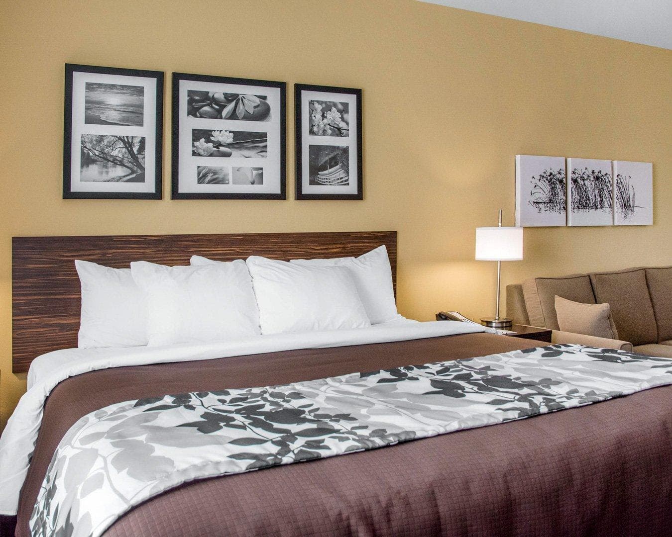 Sleep Inn & Suites Parkersburg - Marietta - Image 1