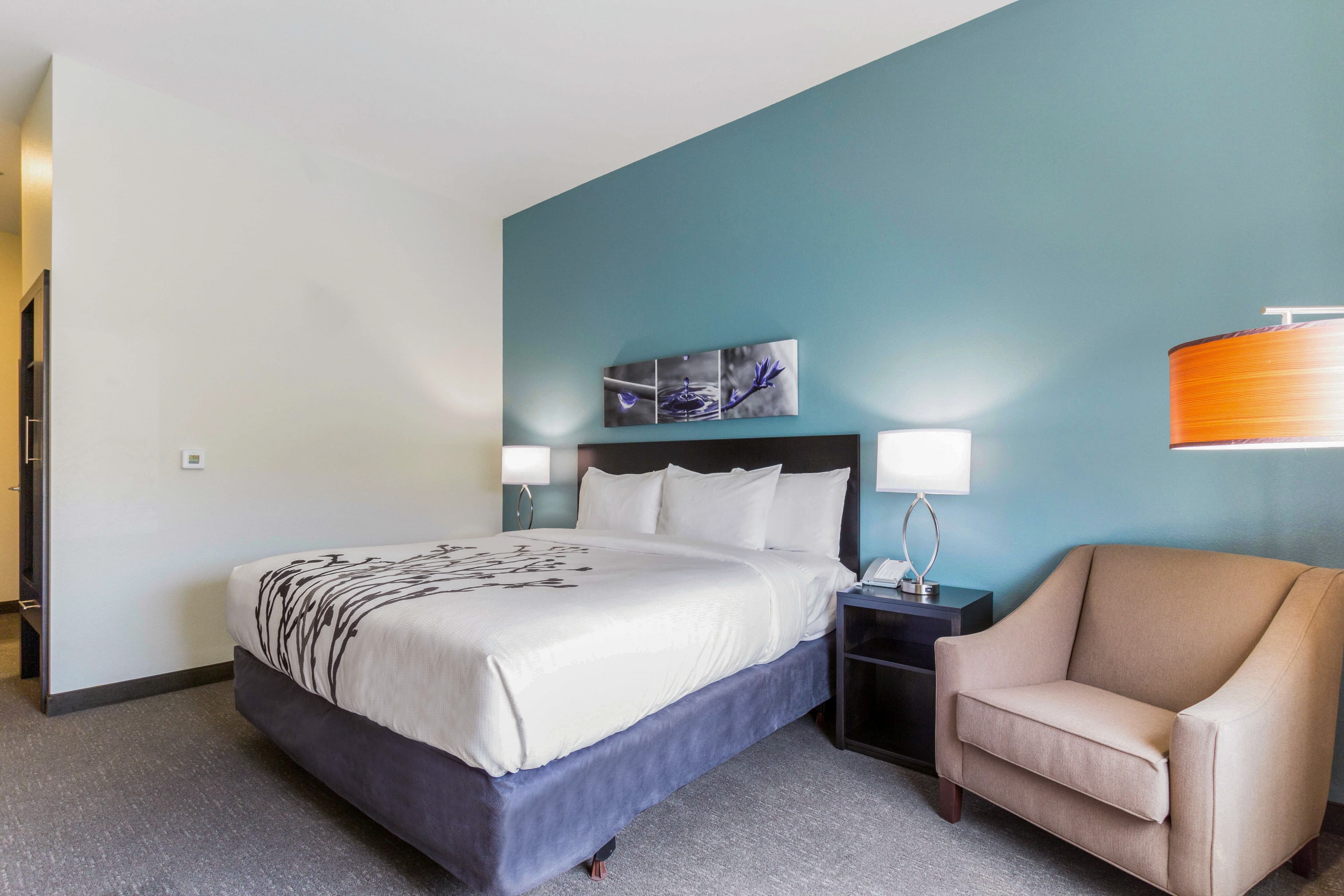 Sleep Inn Winfield - Teays Valley - Image 1