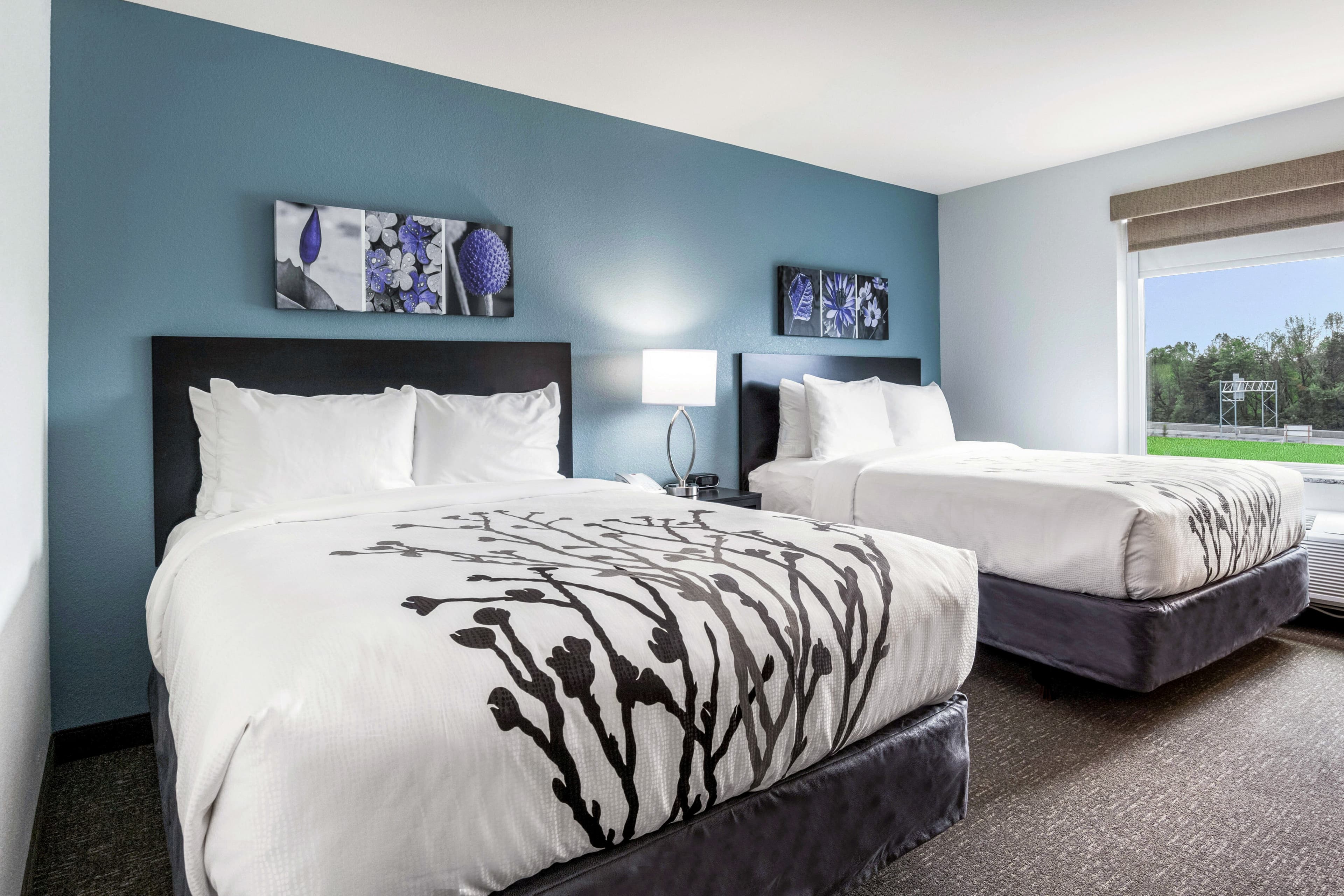 Sleep Inn Winfield - Teays Valley — 12