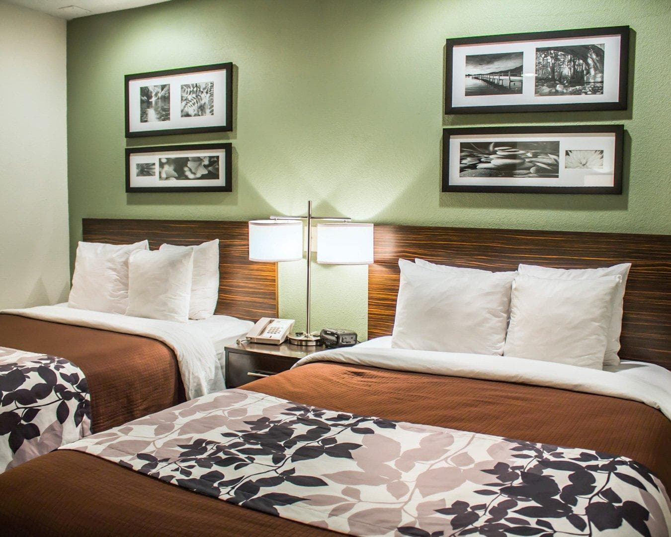 Sleep Inn Summersville - New River Gorge Area - Image 2