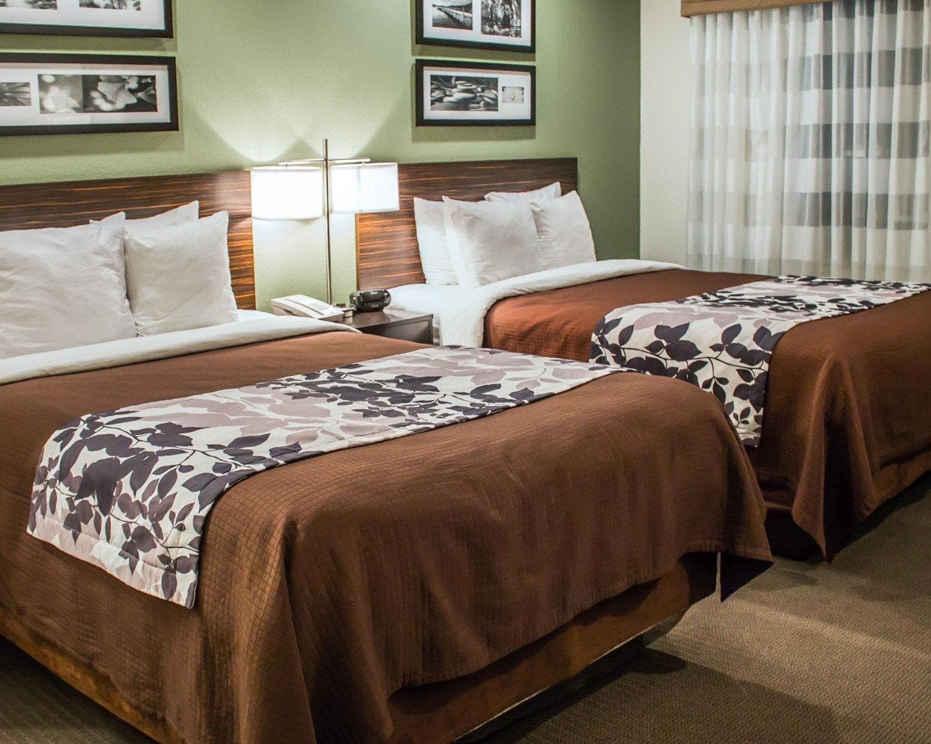Sleep Inn Summersville - New River Gorge Area - Image 4