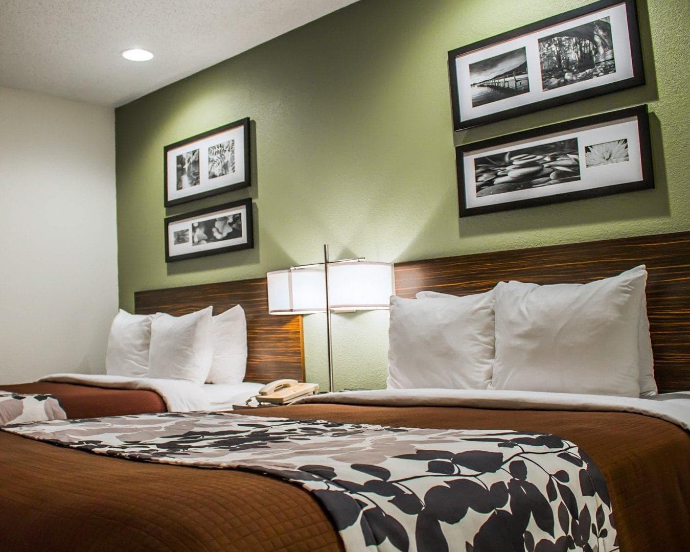 Sleep Inn Summersville - New River Gorge Area — 8