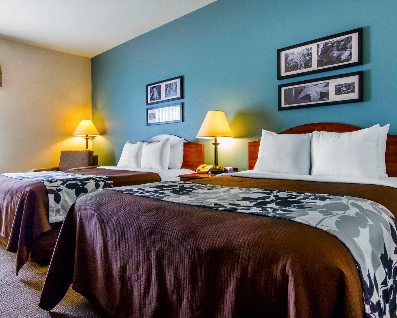 Sleep Inn & Suites Evansville - Casper — 29