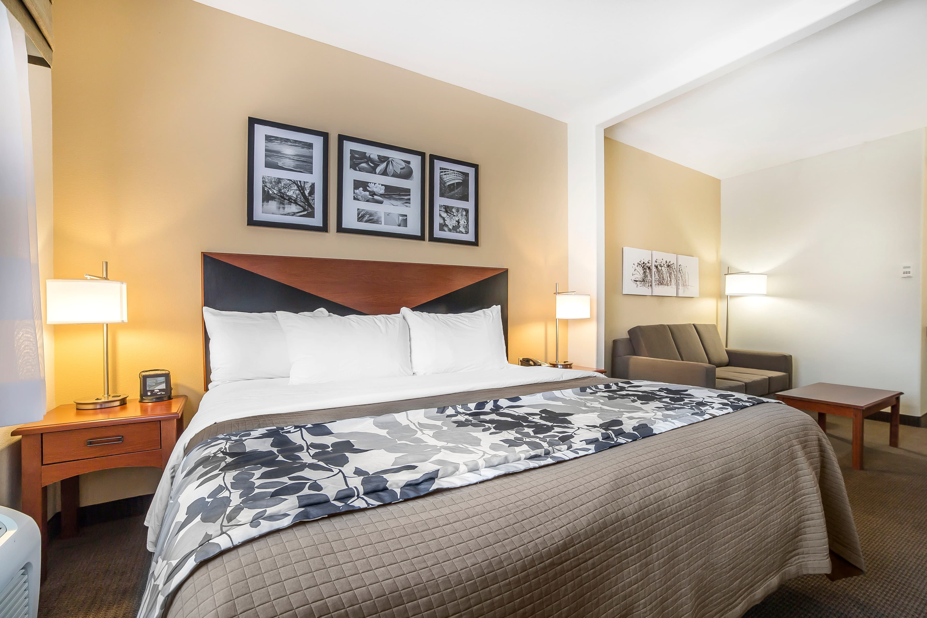 Sleep Inn & Suites Douglas — 21