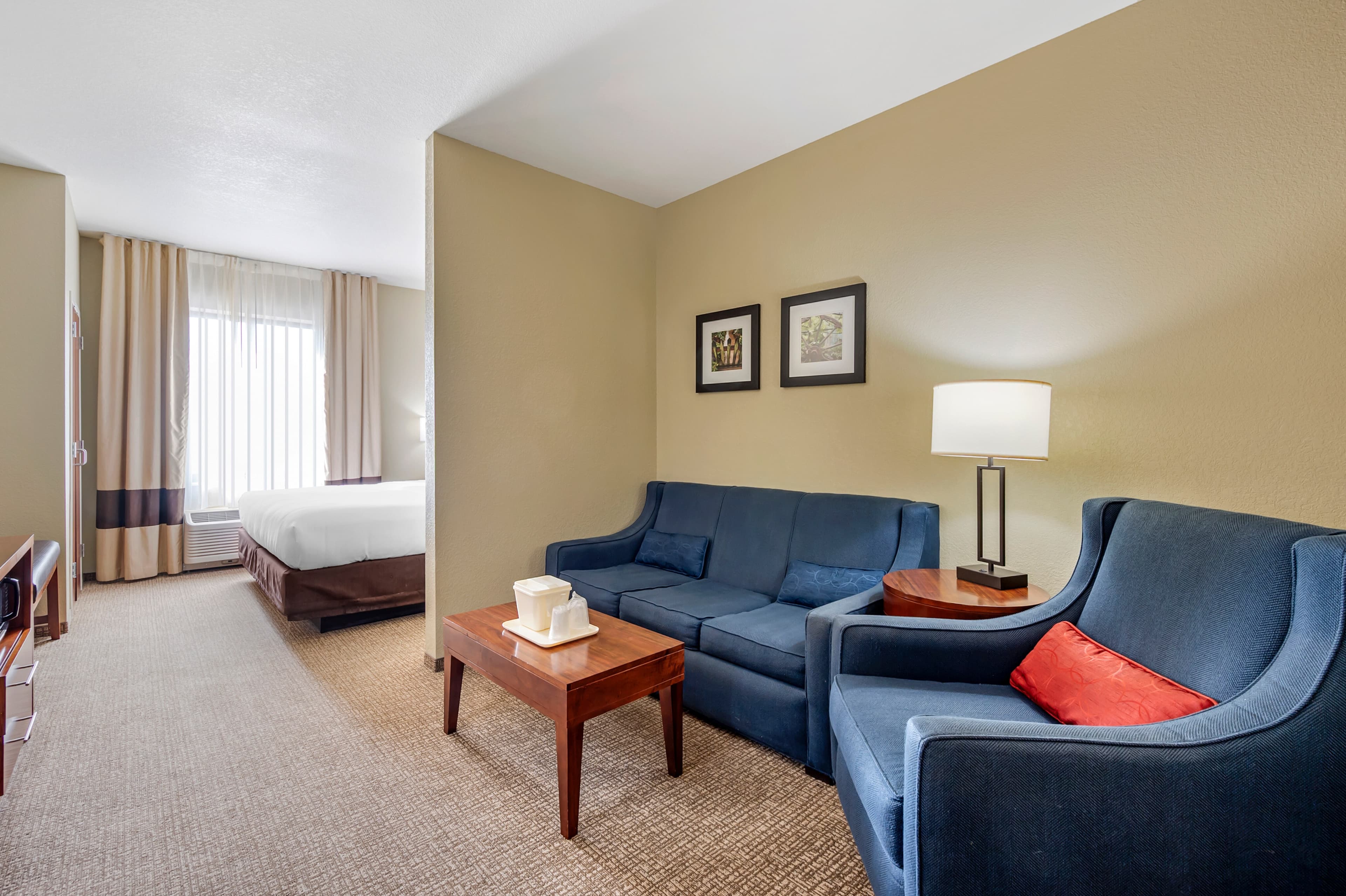 Comfort Inn & Suites — 36