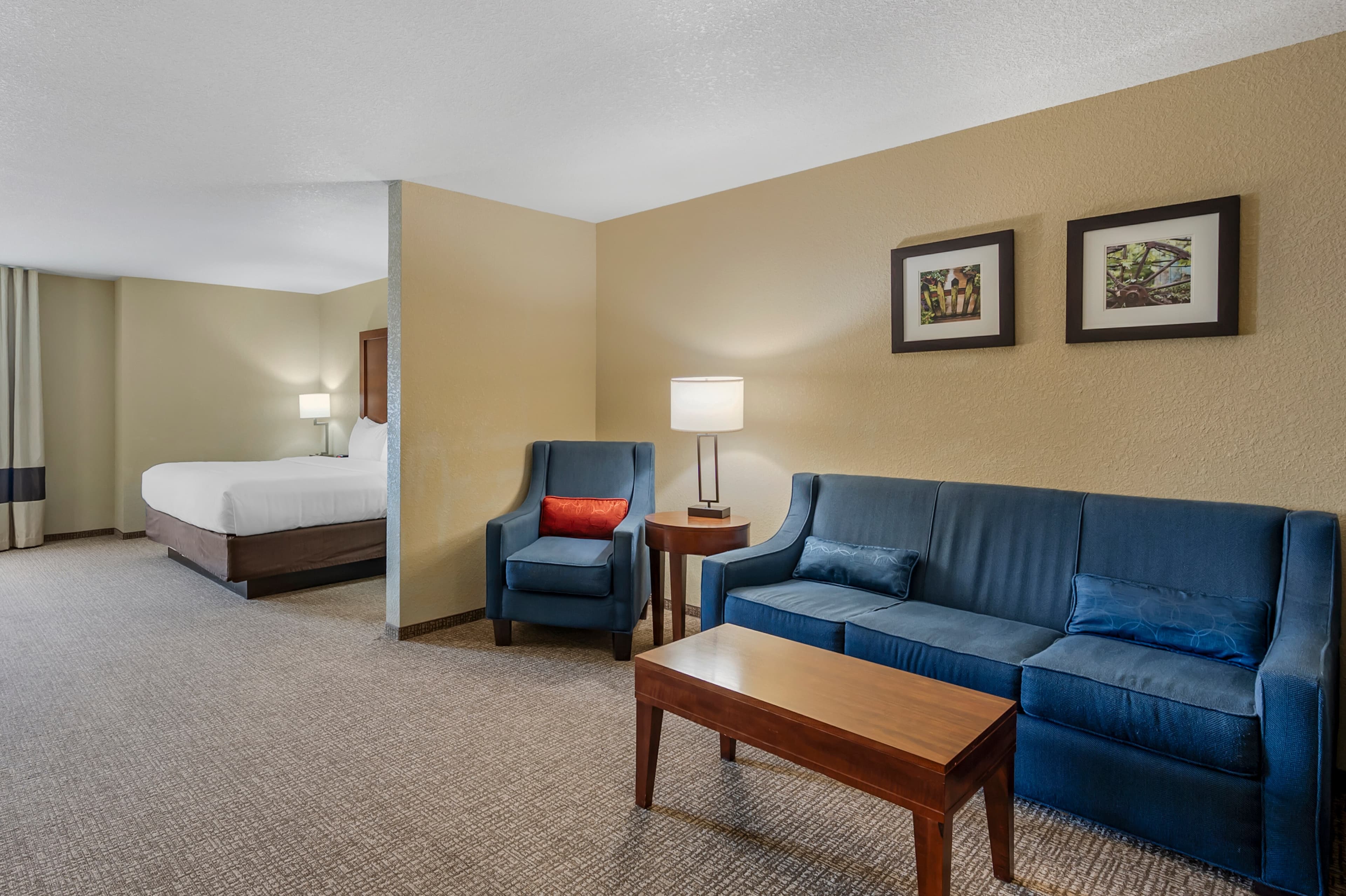 Comfort Inn & Suites — 40