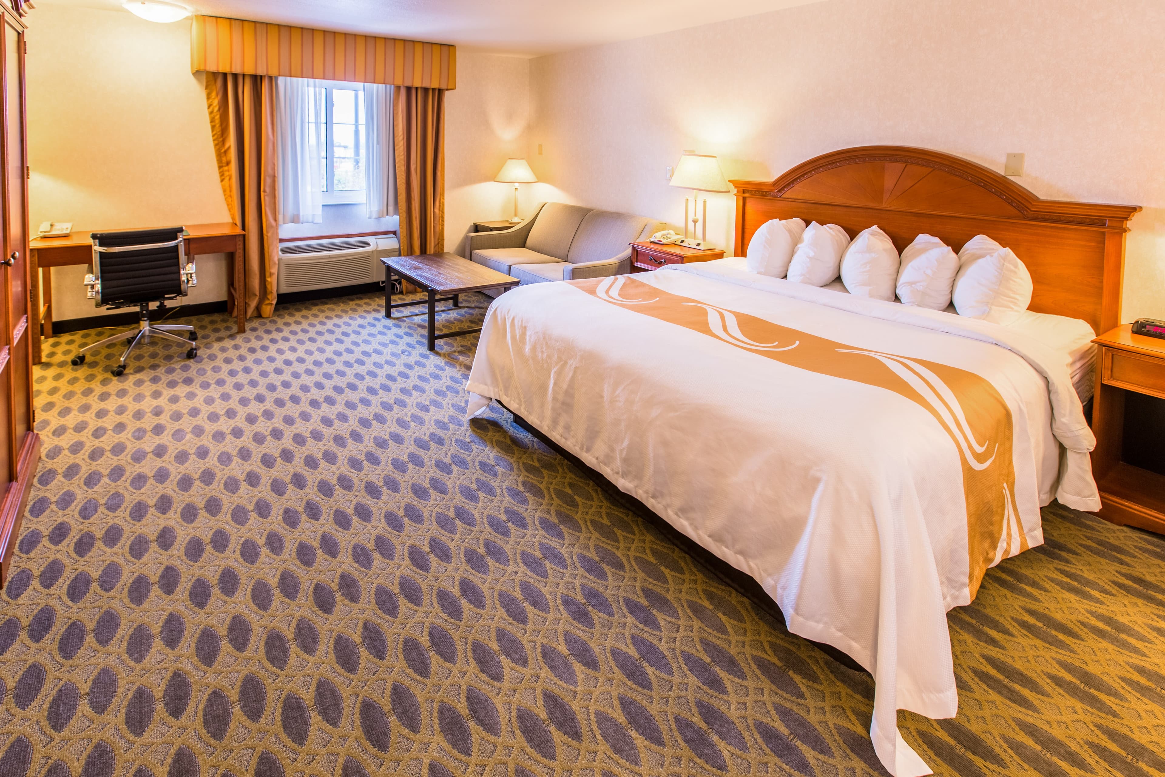 Quality Inn & Suites University — 21