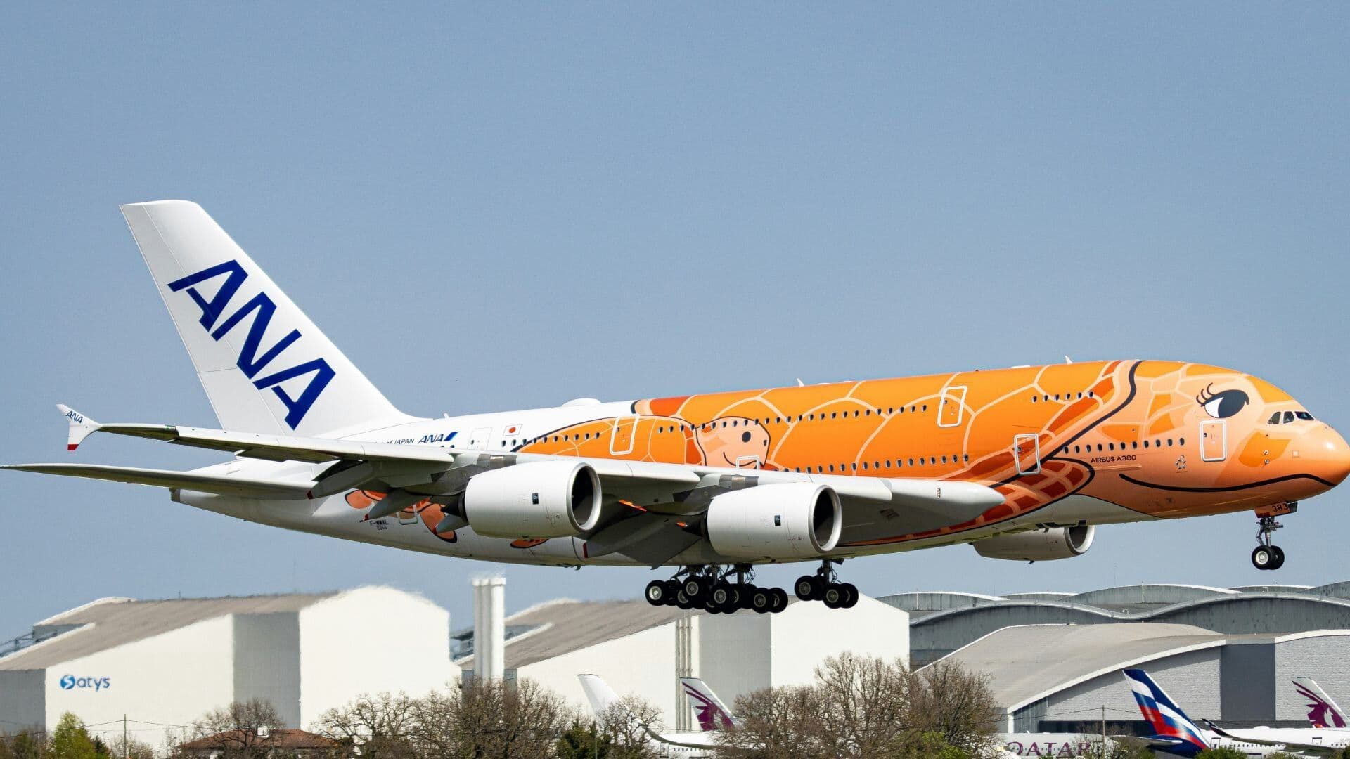 Ultimate Guide To ANA