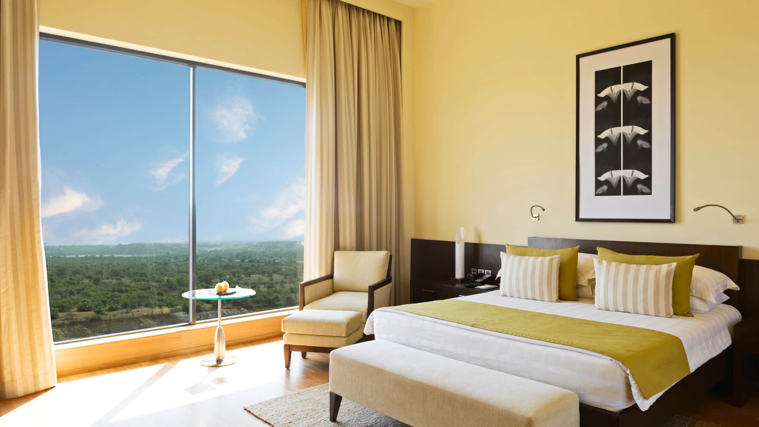 Hyatt Hyderabad Gachibowli - Image 3