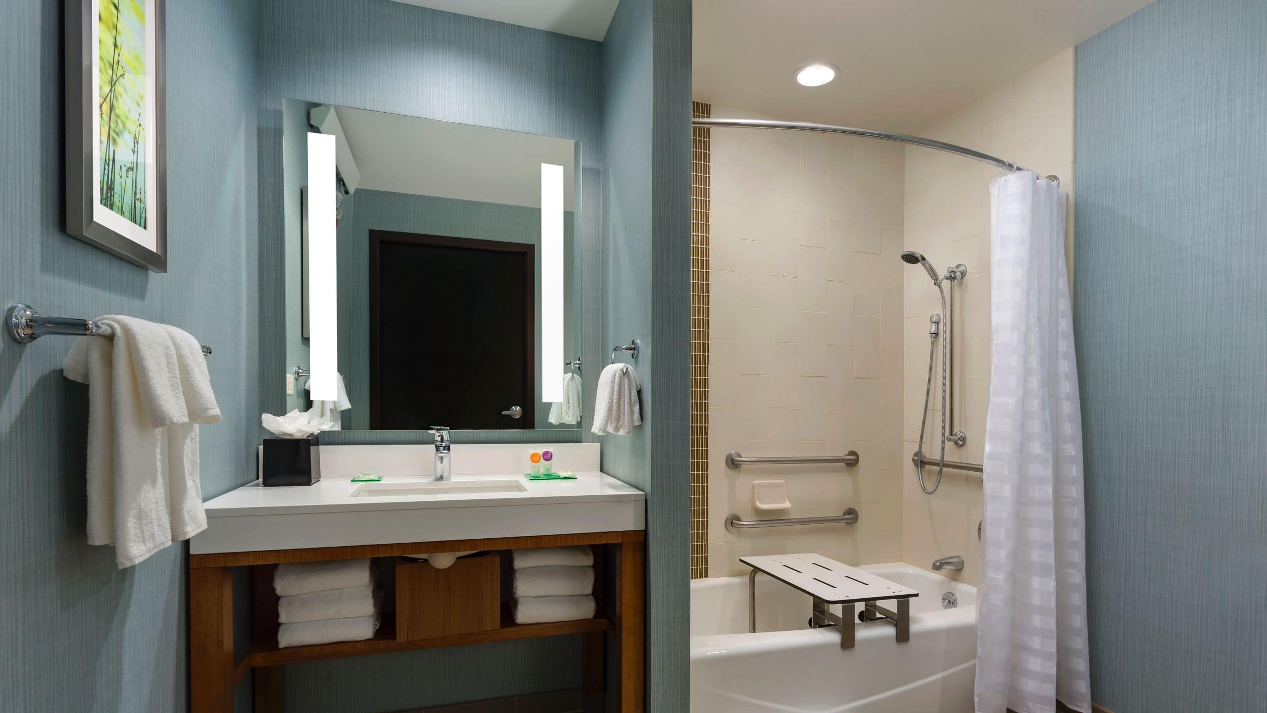 Accessible Two Queen Beds/Tub (with sofa bed) - Image 4