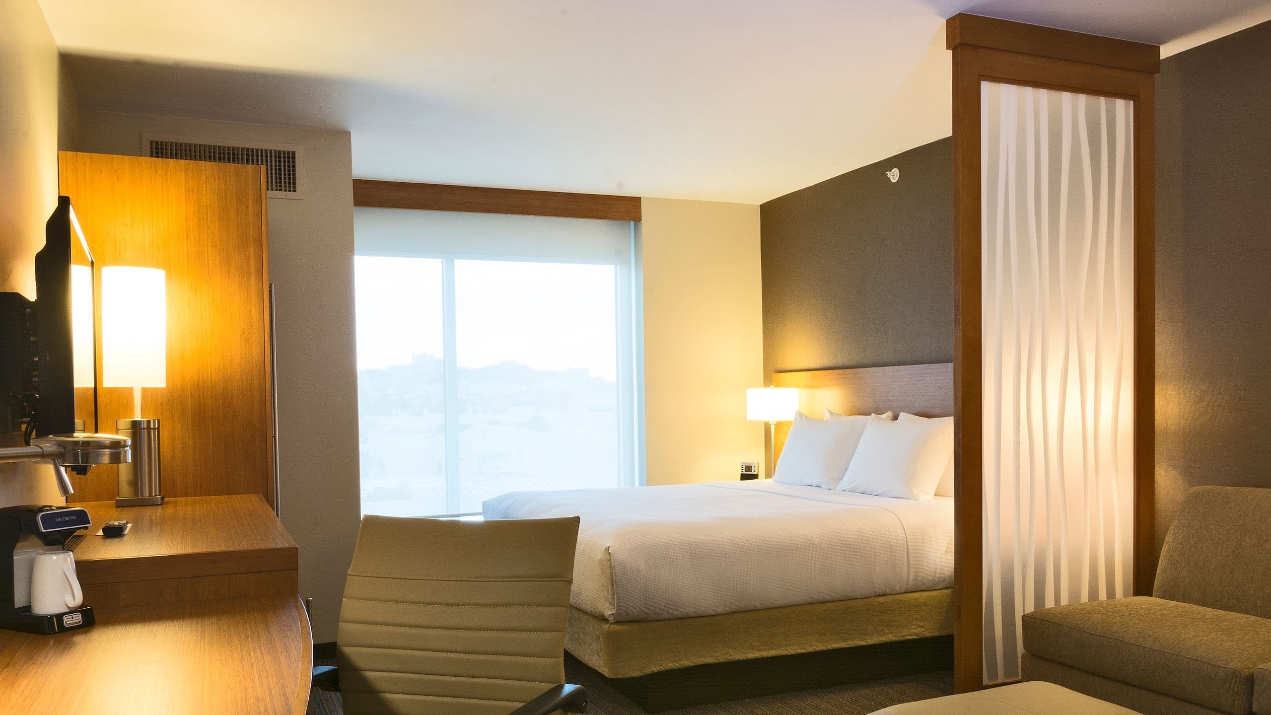 Hyatt Place King (with Sofa Bed) - Image 1