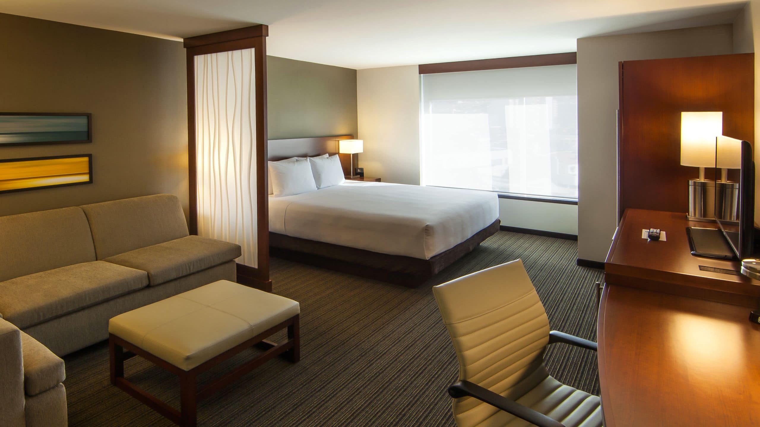 Hyatt Place King (with Sofa Bed) - Image 1